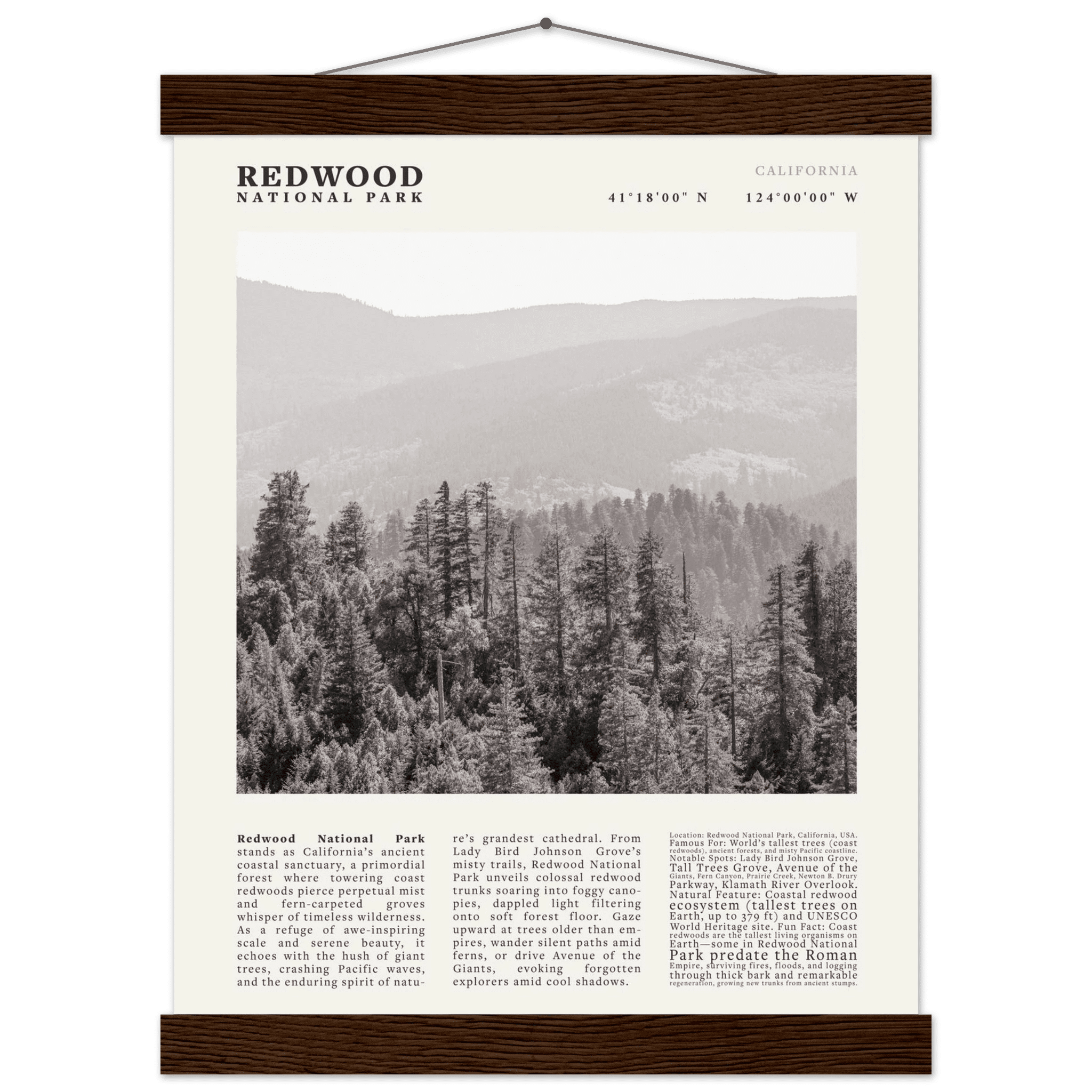 Redwood National Park Poster Black and White – Vintage Foggy Redwood Forest Print - Evergreen Posters