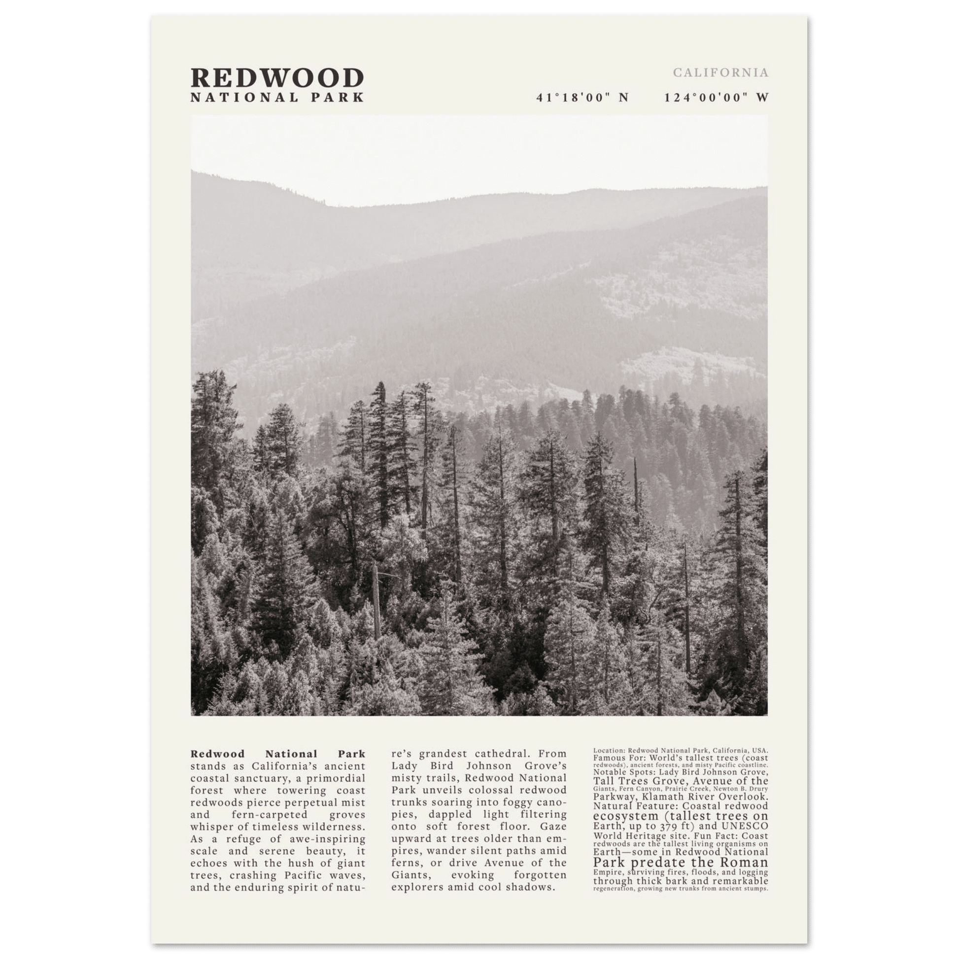 Redwood National Park Poster Black and White – Vintage Foggy Redwood Forest Print - Evergreen Posters