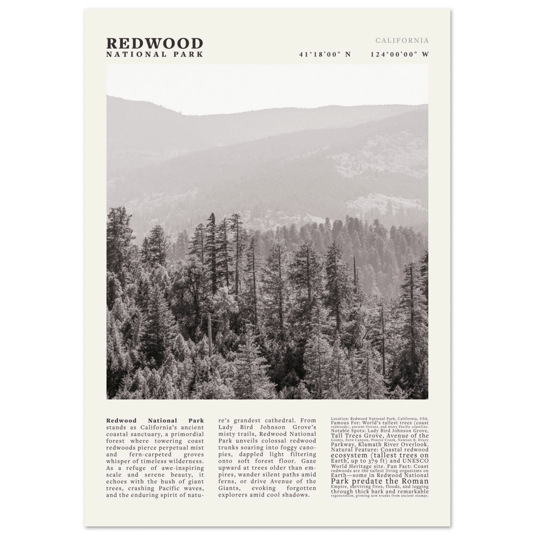 Redwood National Park Poster Black and White – Vintage Foggy Redwood Forest Print - Evergreen Posters
