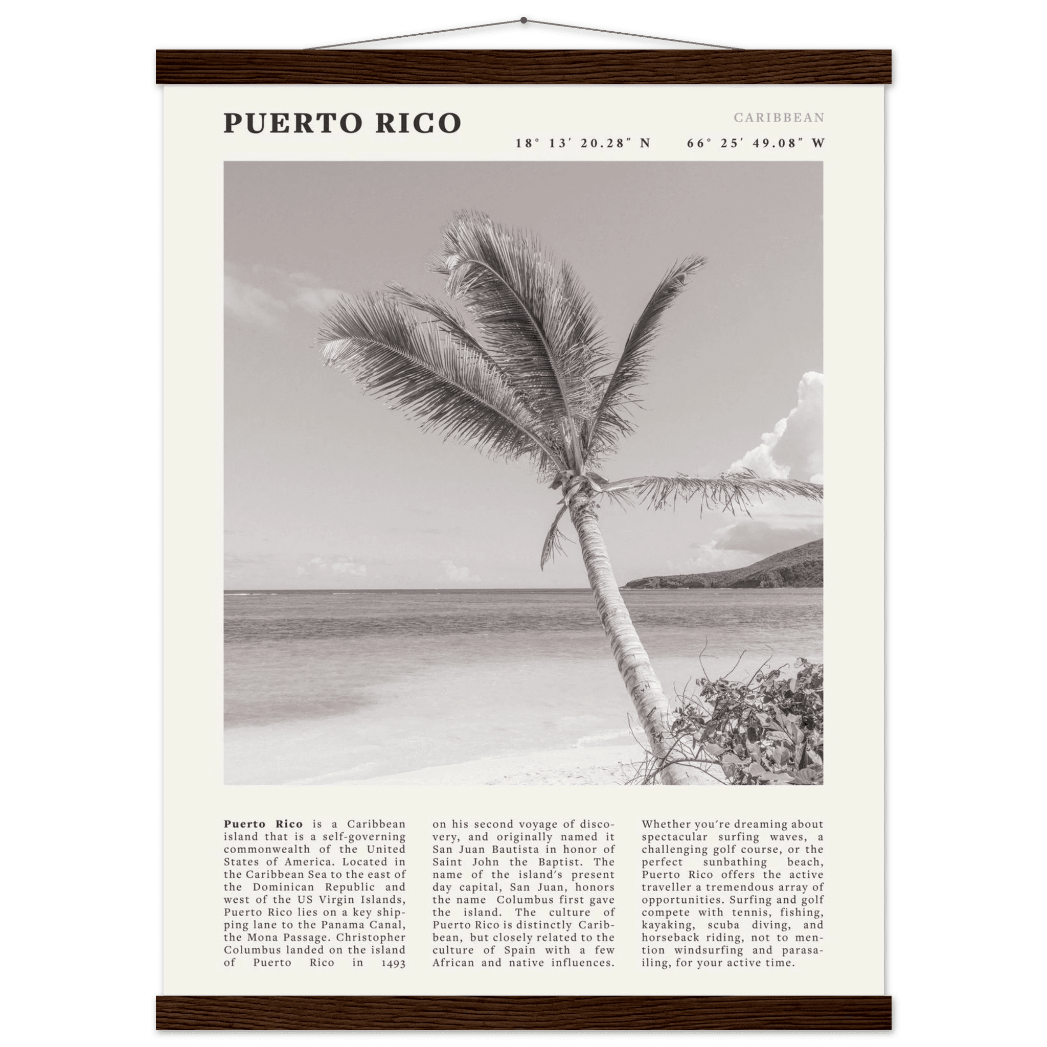 Puerto Rico Poster Black and White – Vintage Caribbean Palm Beach Print (Digital & Printed Options) - Evergreen Posters