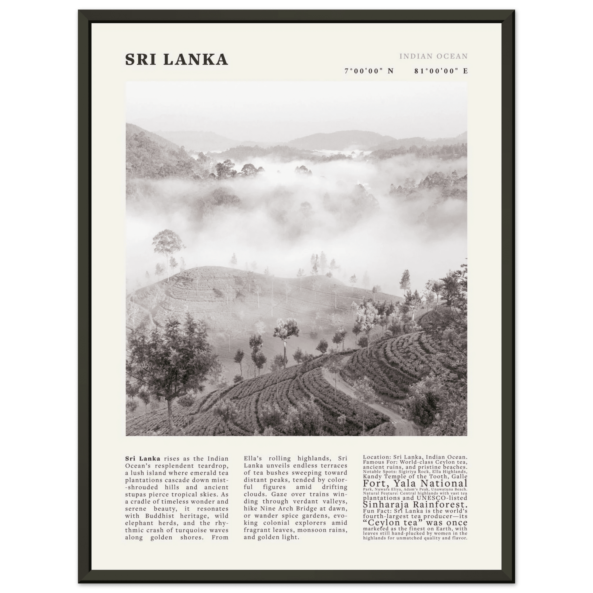 Sri Lanka Poster Black and White – Vintage Ceylon Tea Plantation Print (Digital & Printed Options) - Evergreen Posters