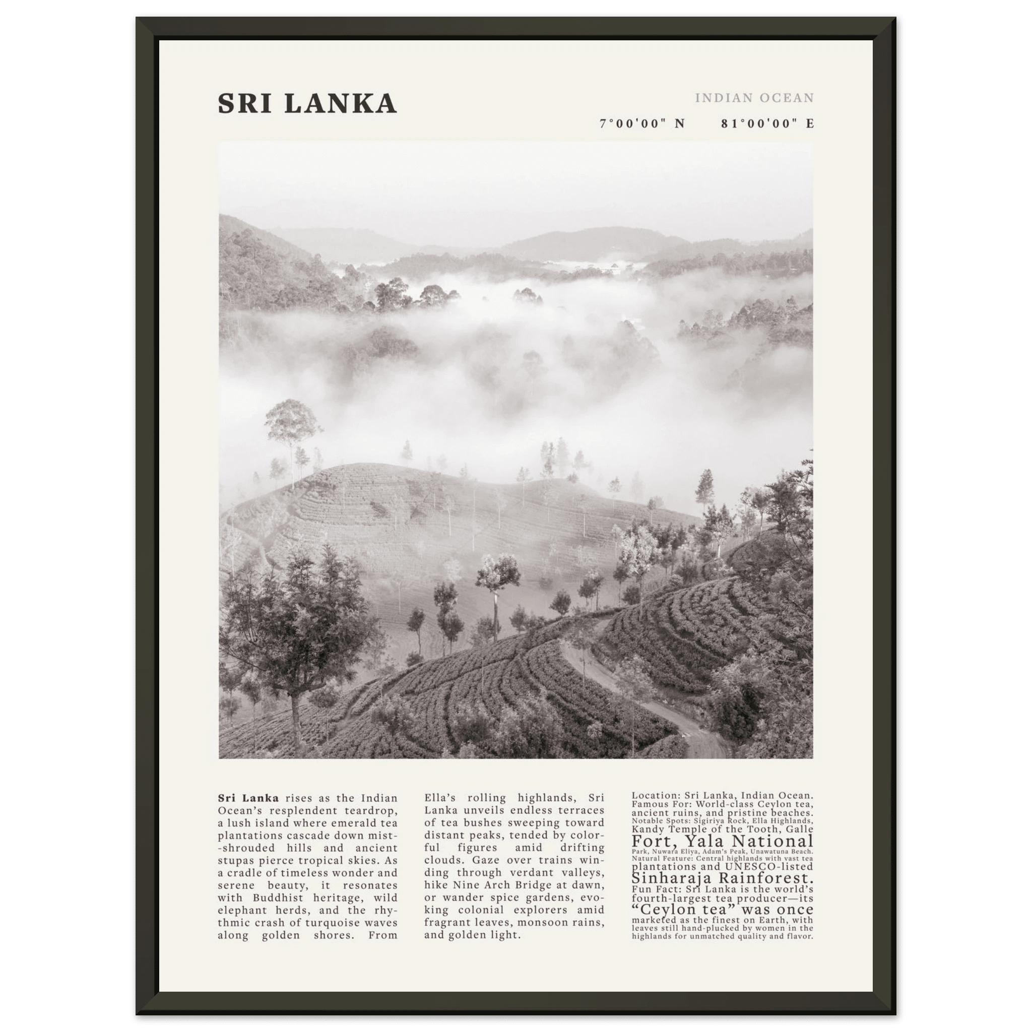 Sri Lanka Poster Black and White – Vintage Ceylon Tea Plantation Print (Digital & Printed Options) - Evergreen Posters