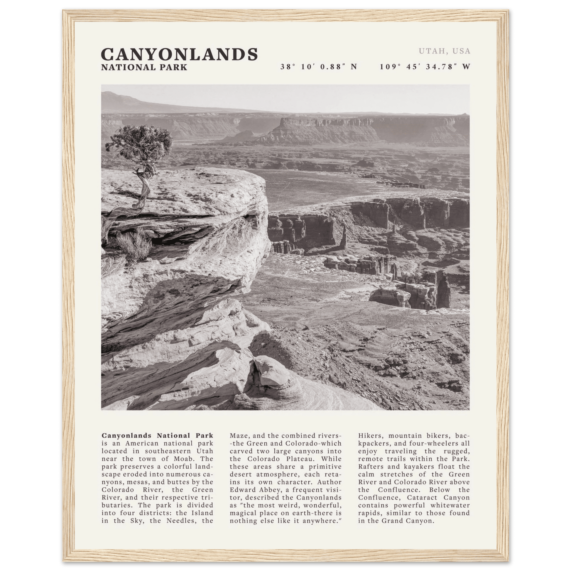 Canyonlands National Park Poster | Black & White Utah Wall Art | Canyon Travel Print - Evergreen Posters