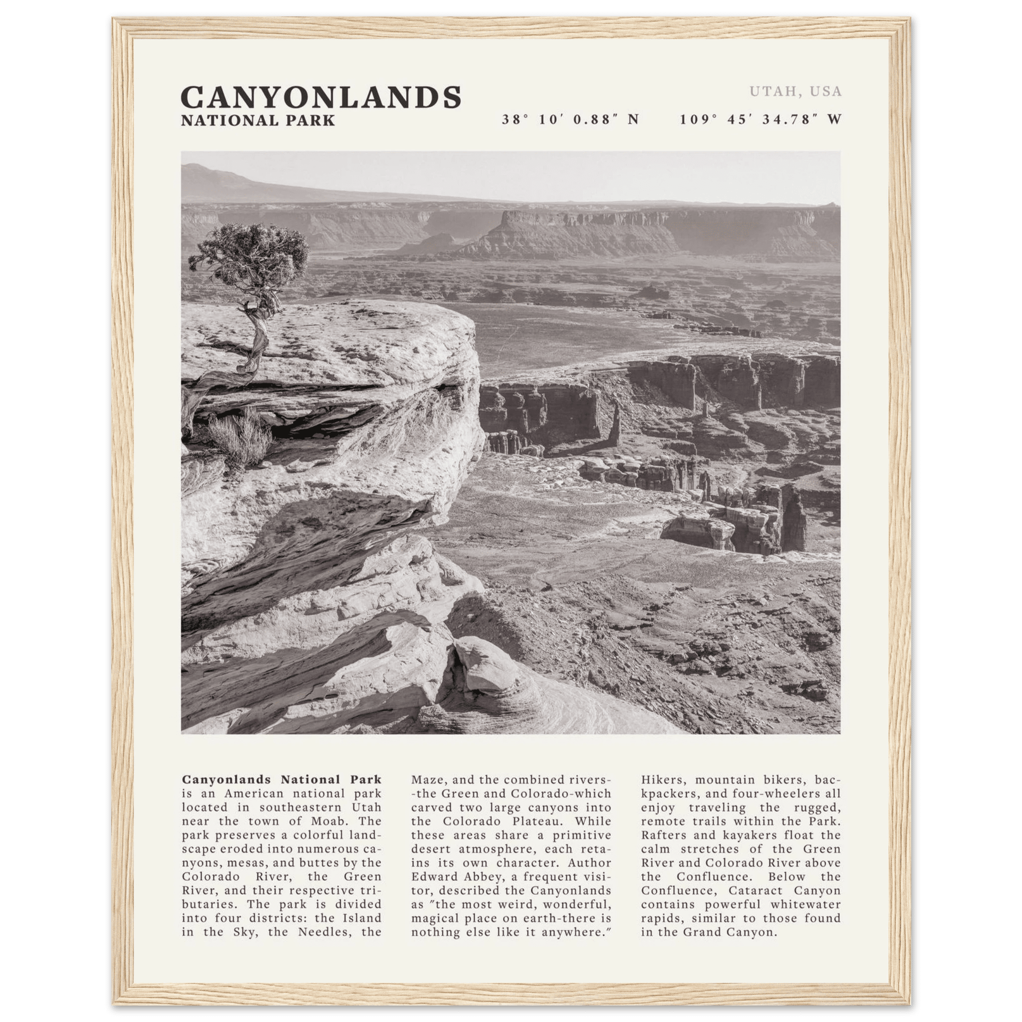 Canyonlands National Park Poster | Black & White Utah Wall Art | Canyon Travel Print - Evergreen Posters