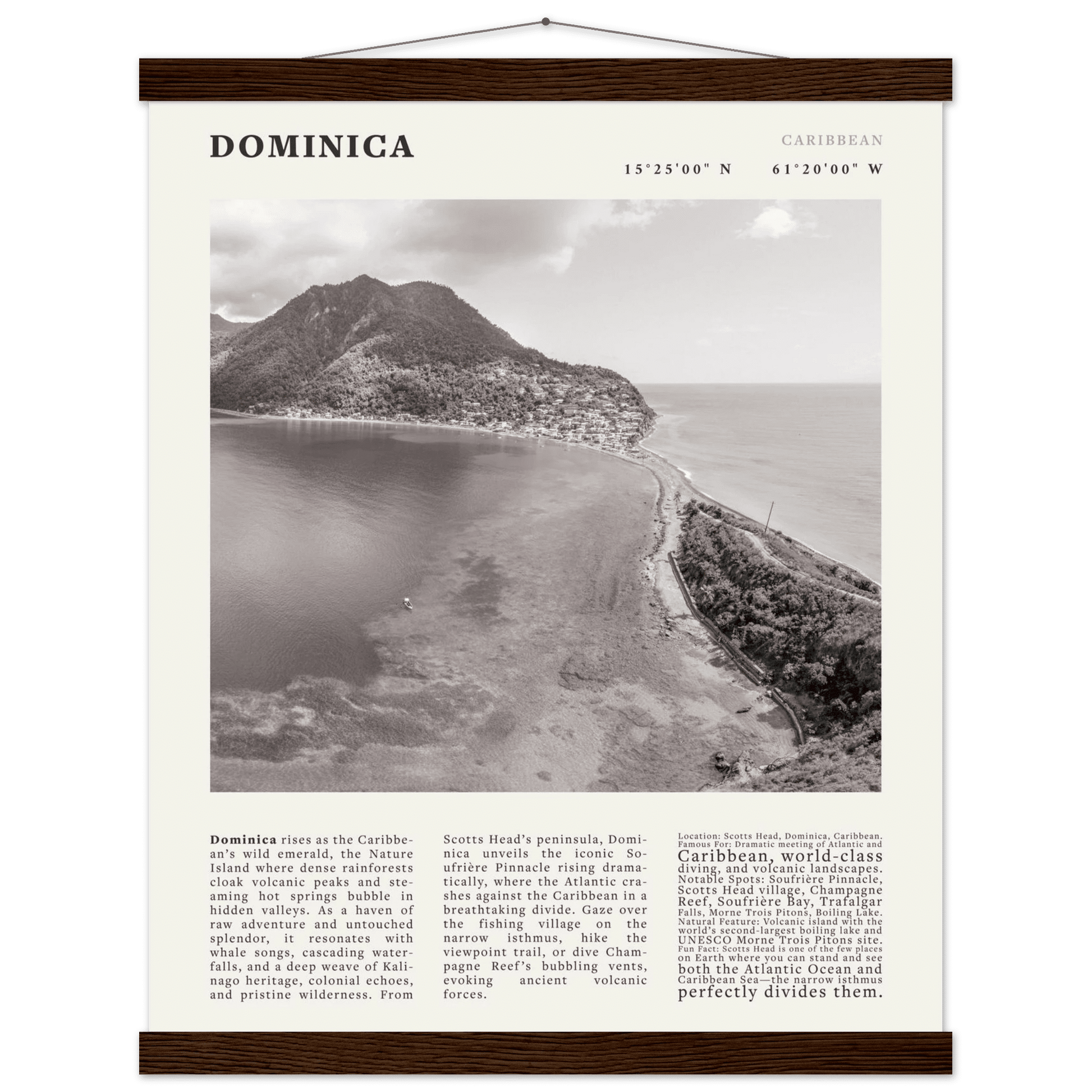 Dominica Poster Black and White – Vintage Caribbean Rainforest Island Print (Digital & Printed Options) - Evergreen Posters