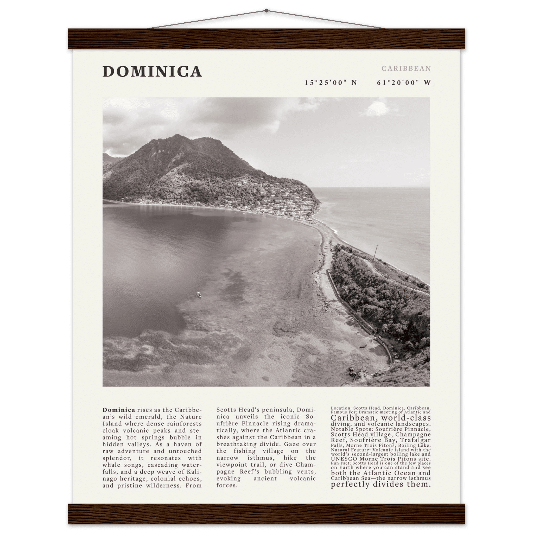 Dominica Poster Black and White – Vintage Caribbean Rainforest Island Print (Digital & Printed Options) - Evergreen Posters