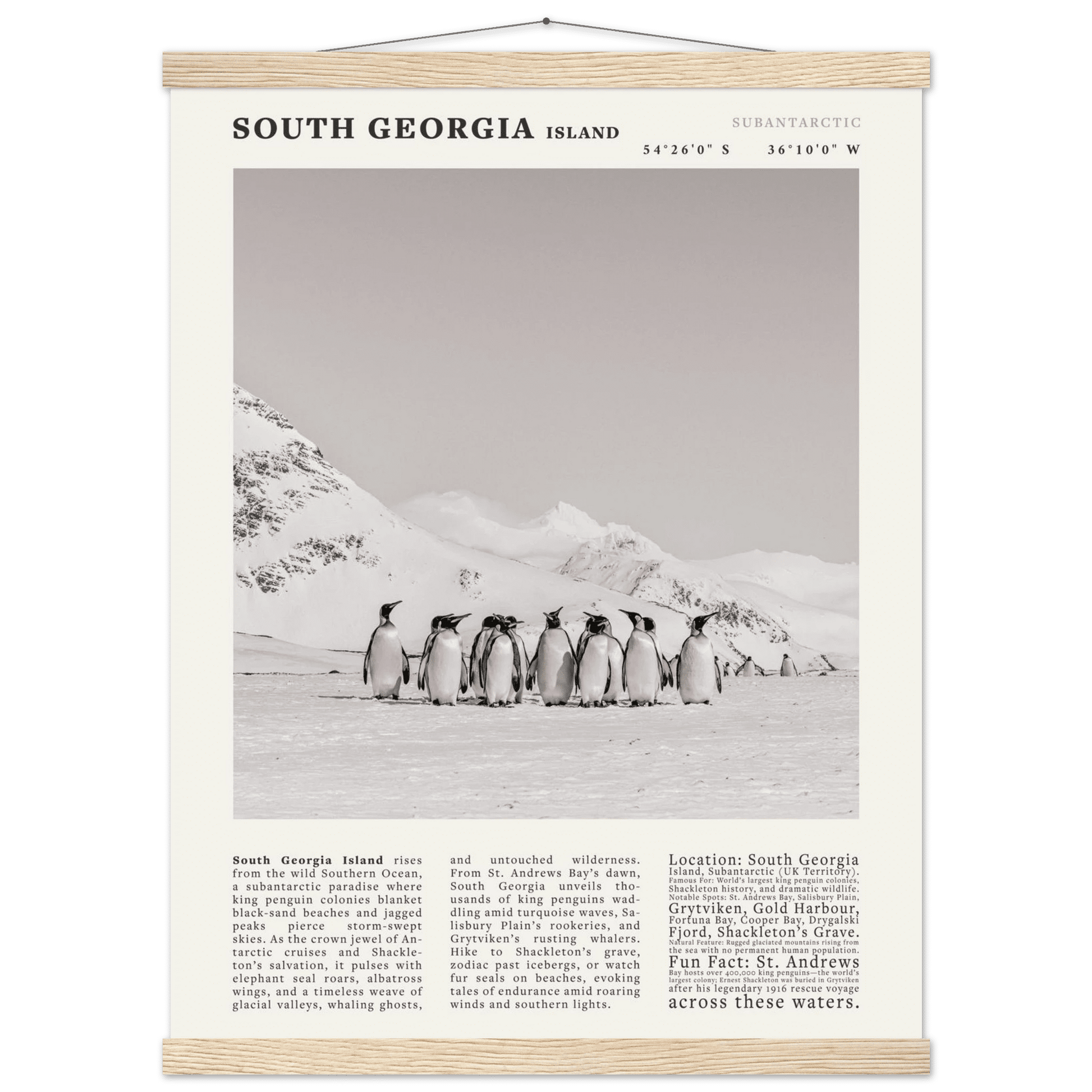 South Georgia Island Black and White Vintage Poster - Evergreen Posters