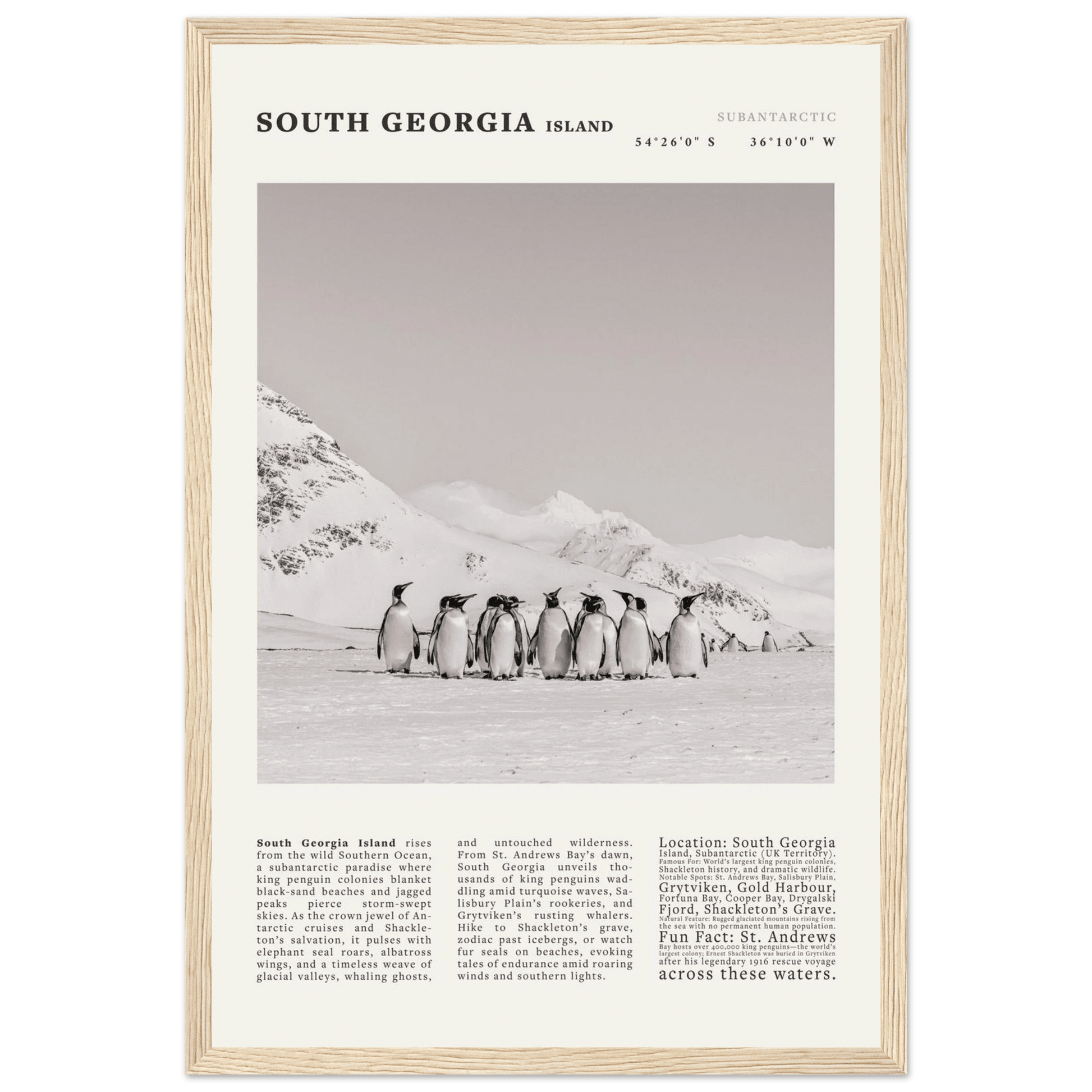 South Georgia Island Black and White Vintage Poster - Evergreen Posters