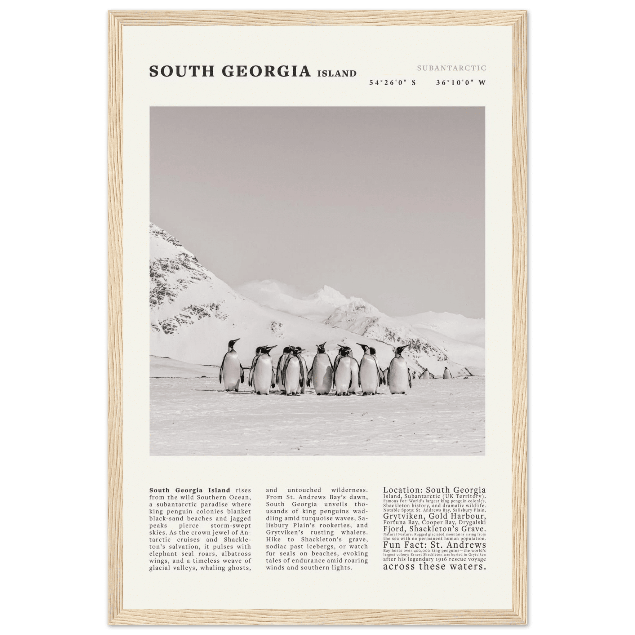 South Georgia Island Black and White Vintage Poster - Evergreen Posters