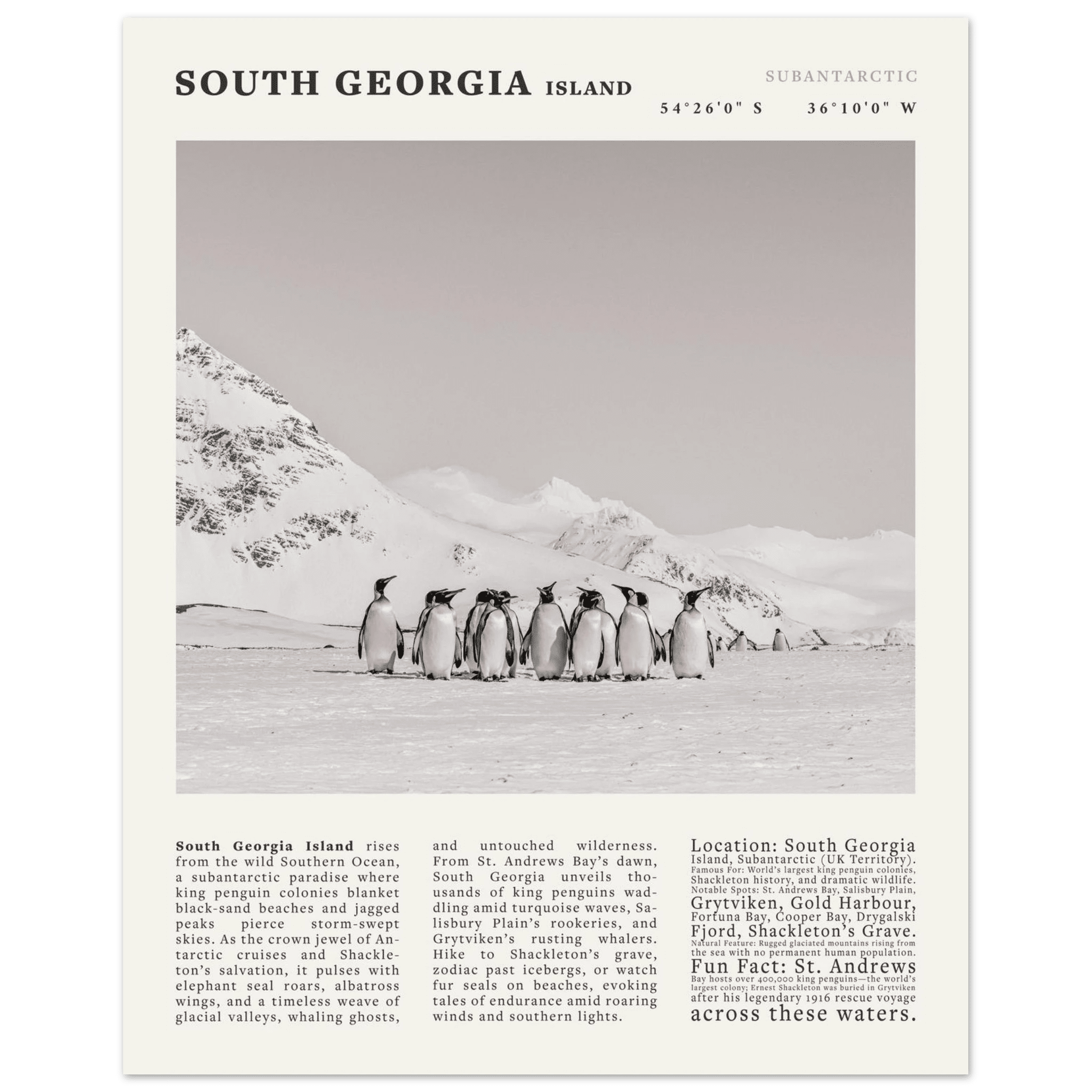 South Georgia Island Black and White Vintage Poster - Evergreen Posters