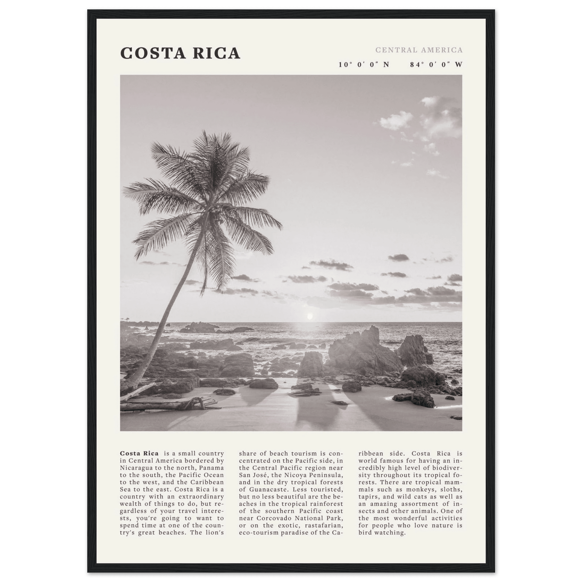 Costa Rica Poster | Black & White Palm Tree Beach Wall Art | Travel Print Decor - Evergreen Posters