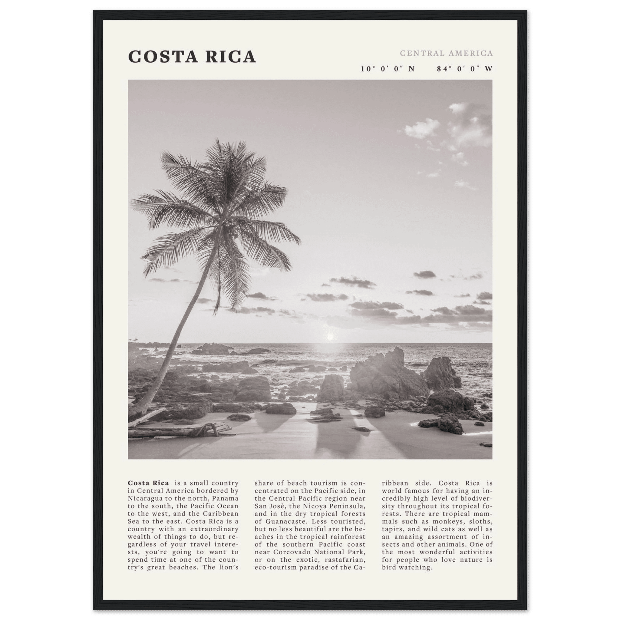 Costa Rica Poster | Black & White Palm Tree Beach Wall Art | Travel Print Decor - Evergreen Posters