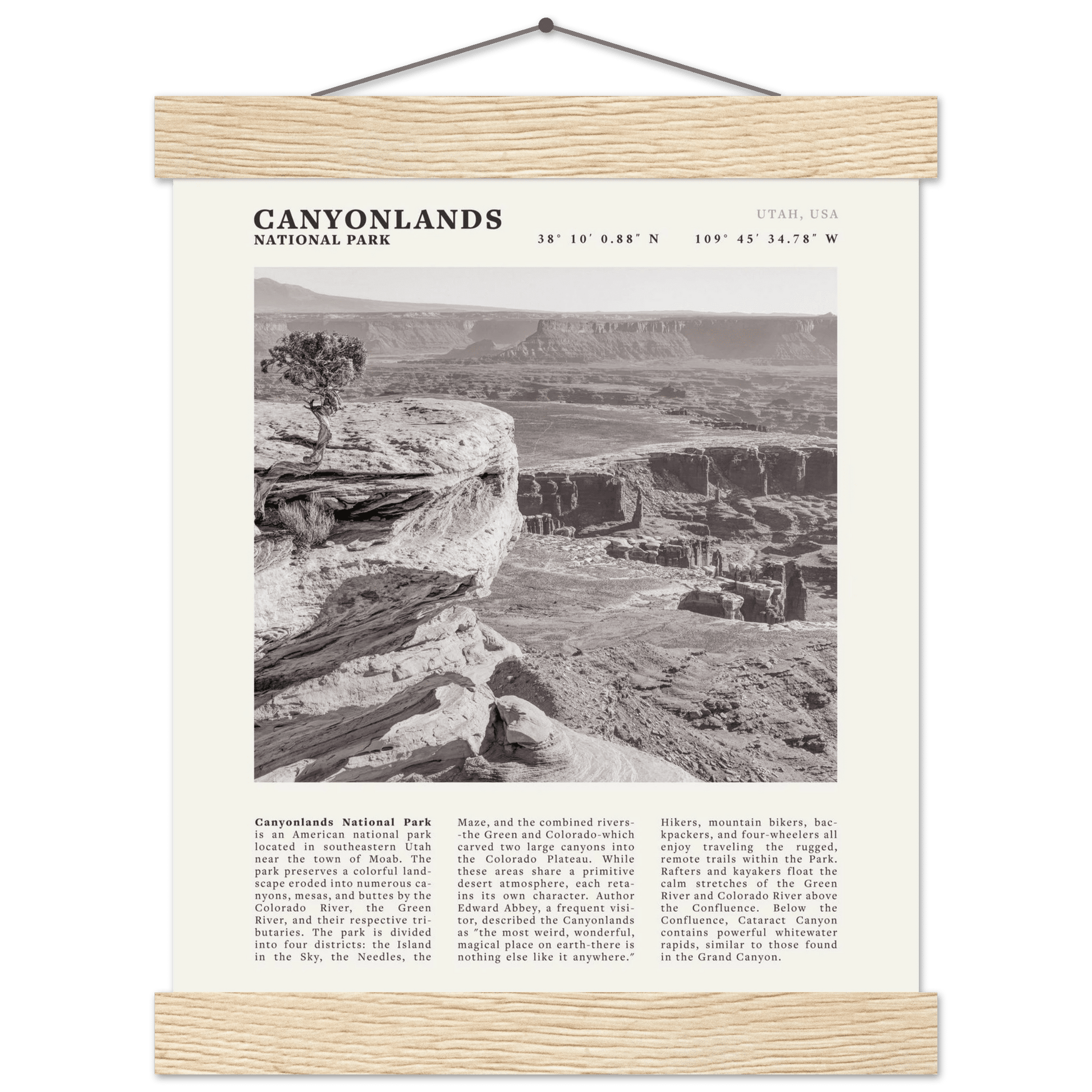 Canyonlands National Park Poster | Black & White Utah Wall Art | Canyon Travel Print - Evergreen Posters