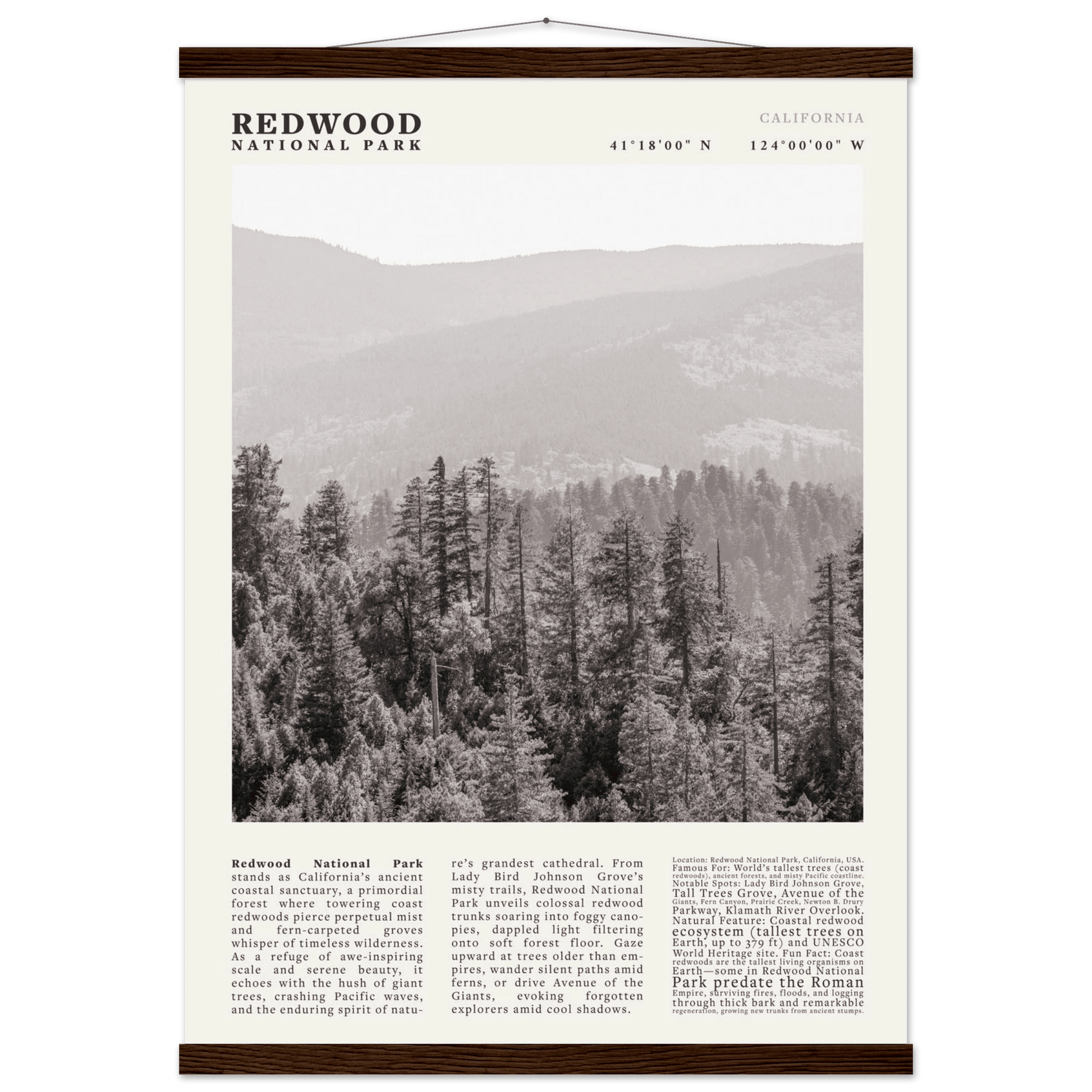 Redwood National Park Poster Black and White – Vintage Foggy Redwood Forest Print - Evergreen Posters