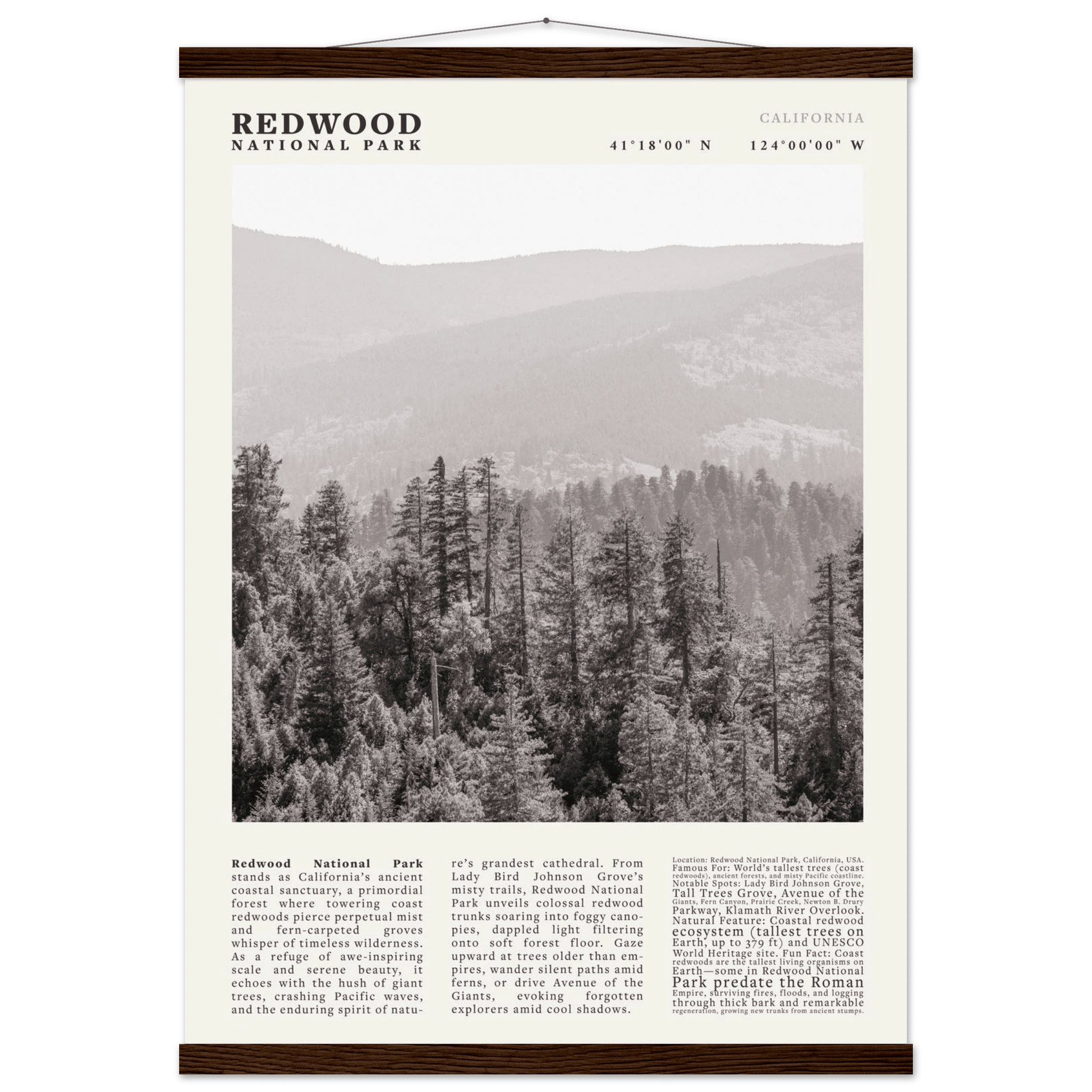 Redwood National Park Poster Black and White – Vintage Foggy Redwood Forest Print - Evergreen Posters