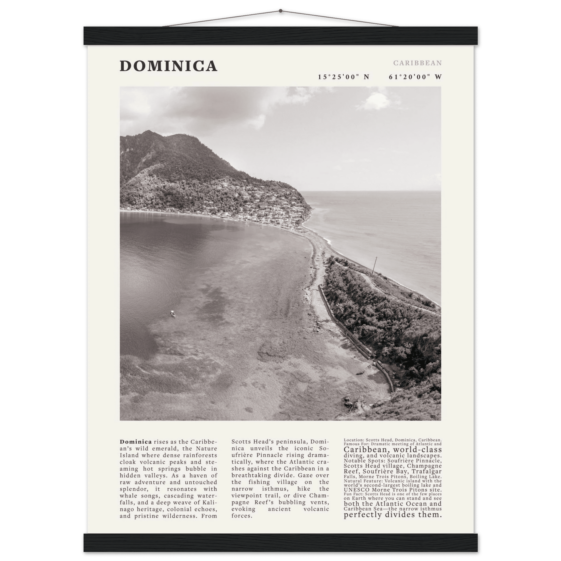 Dominica Poster Black and White – Vintage Caribbean Rainforest Island Print (Digital & Printed Options) - Evergreen Posters