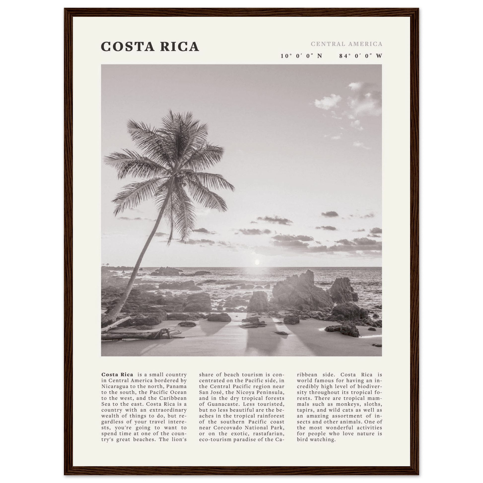 Costa Rica Poster | Black & White Palm Tree Beach Wall Art | Travel Print Decor - Evergreen Posters