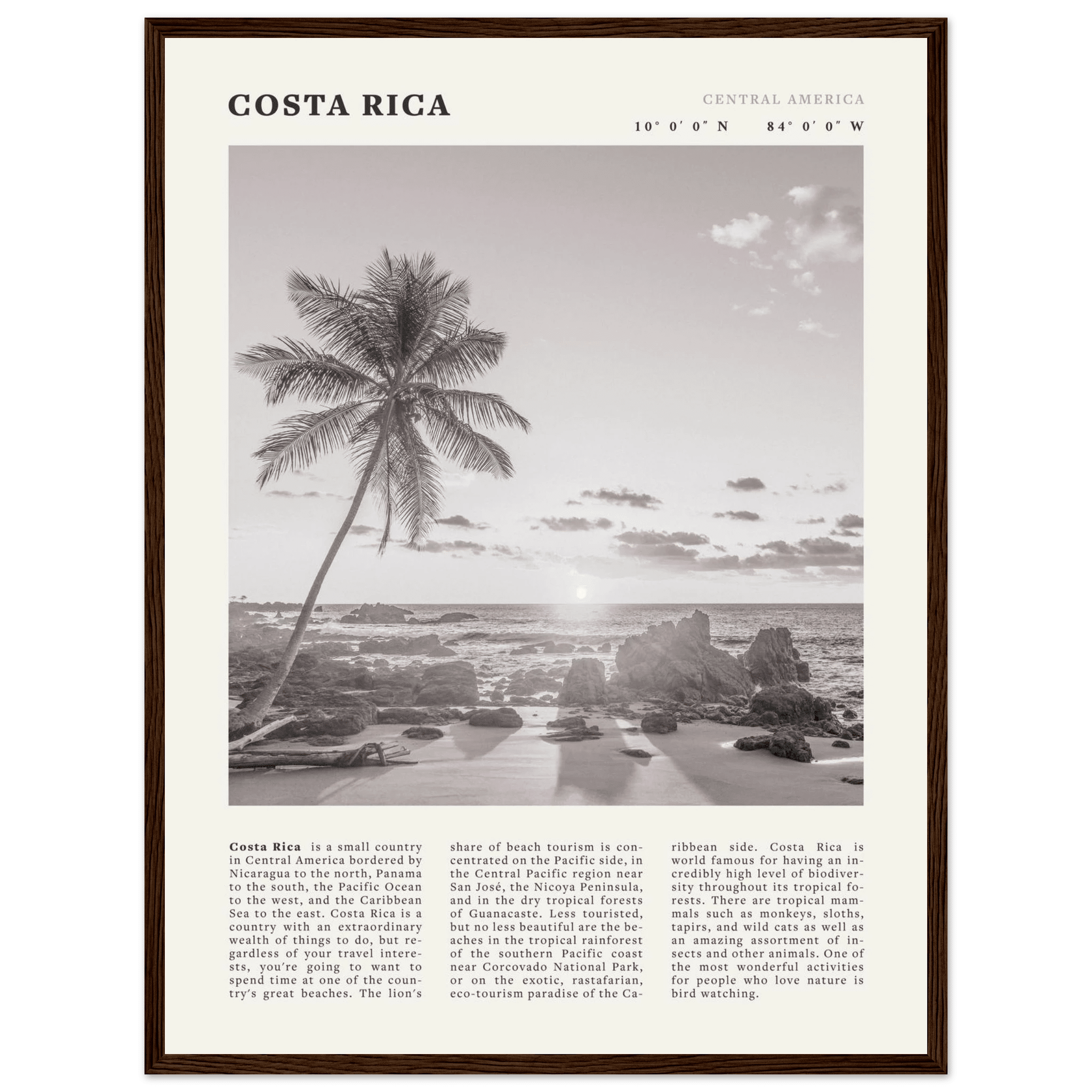 Costa Rica Poster | Black & White Palm Tree Beach Wall Art | Travel Print Decor - Evergreen Posters