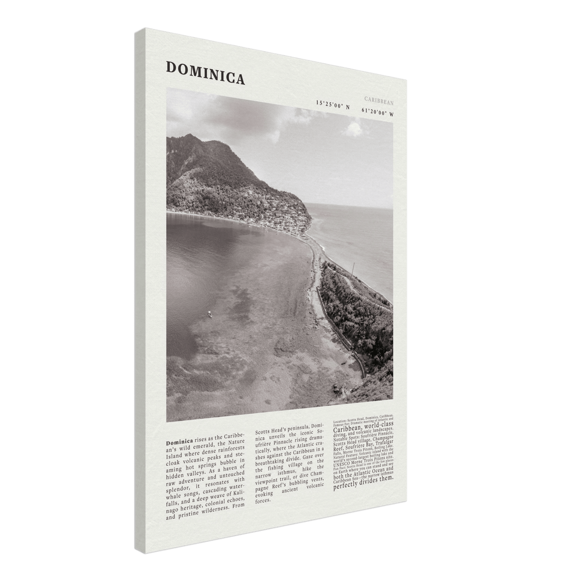Dominica Poster Black and White – Vintage Caribbean Rainforest Island Print (Digital & Printed Options) - Evergreen Posters
