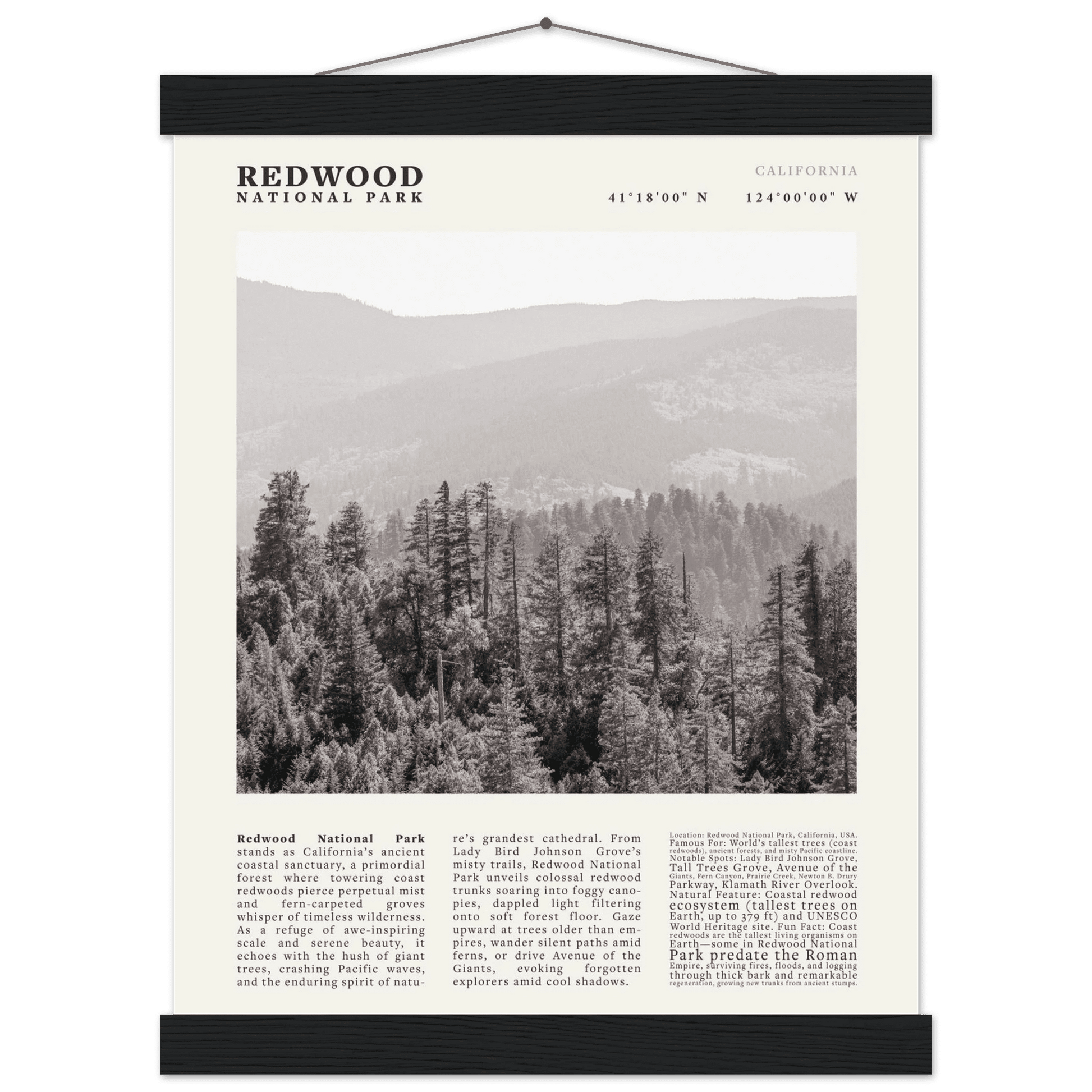 Redwood National Park Poster Black and White – Vintage Foggy Redwood Forest Print - Evergreen Posters