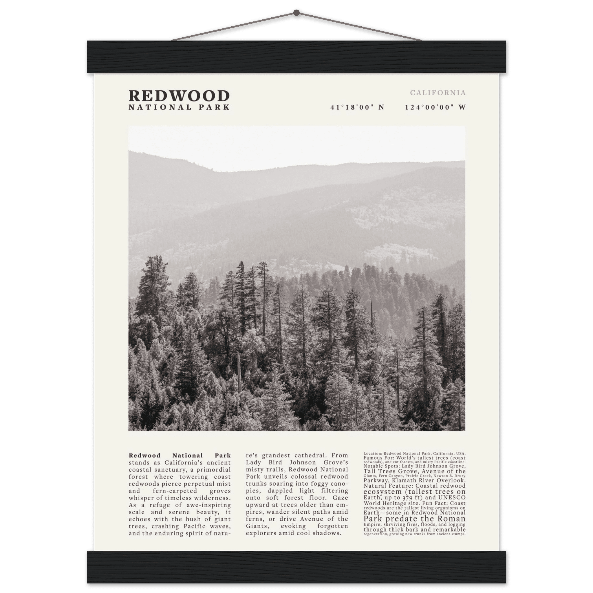 Redwood National Park Poster Black and White – Vintage Foggy Redwood Forest Print - Evergreen Posters