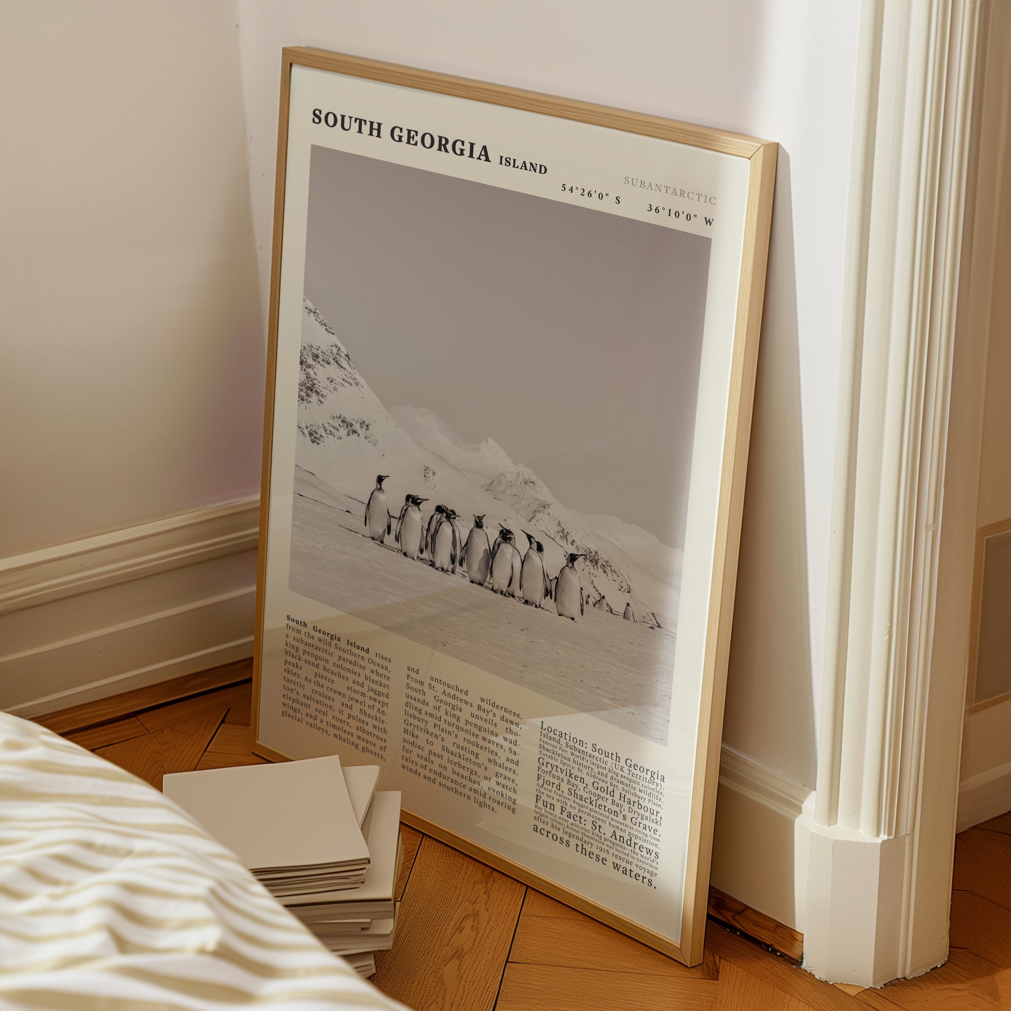South Georgia Island Black and White Vintage Poster - Evergreen Posters