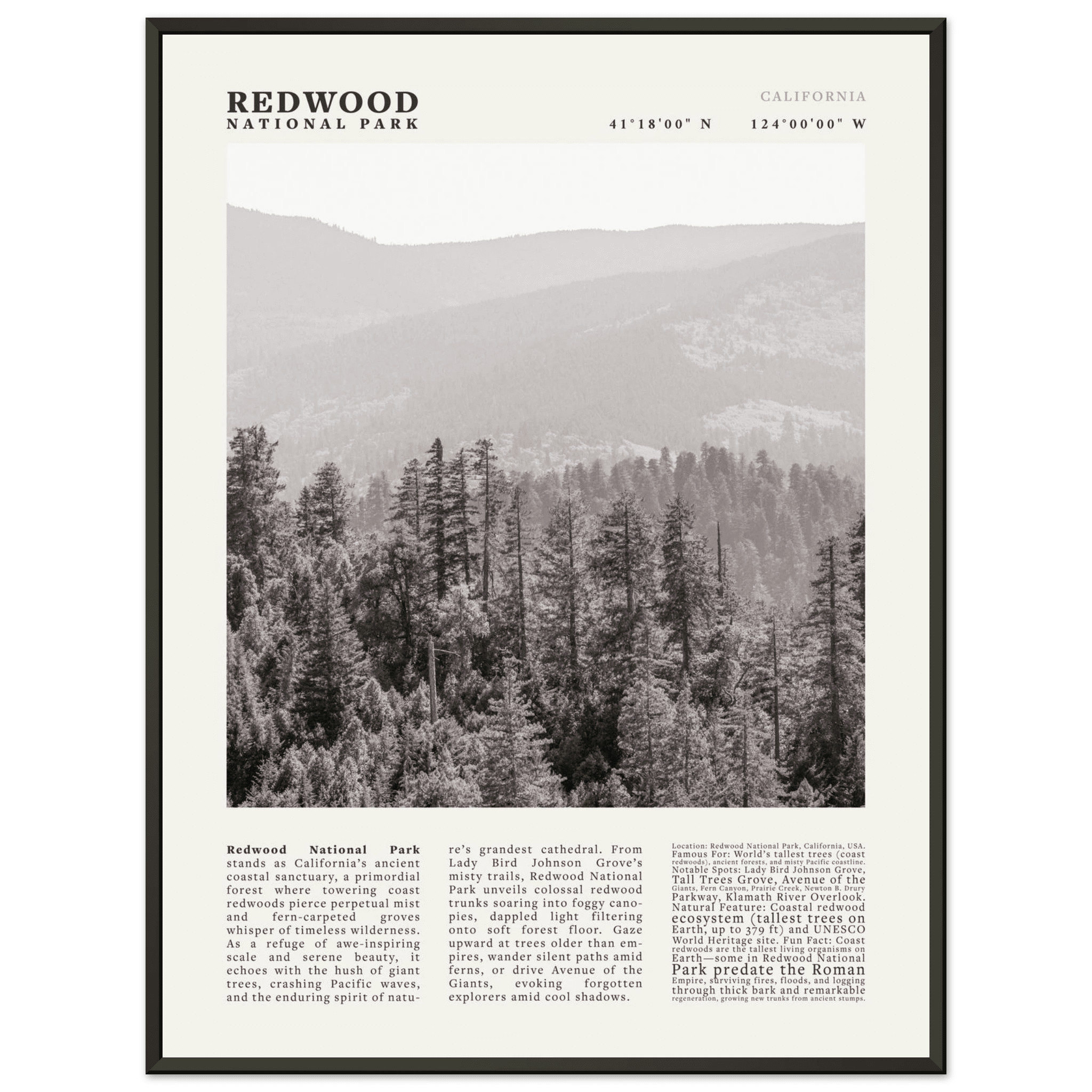 Redwood National Park Poster Black and White – Vintage Foggy Redwood Forest Print - Evergreen Posters