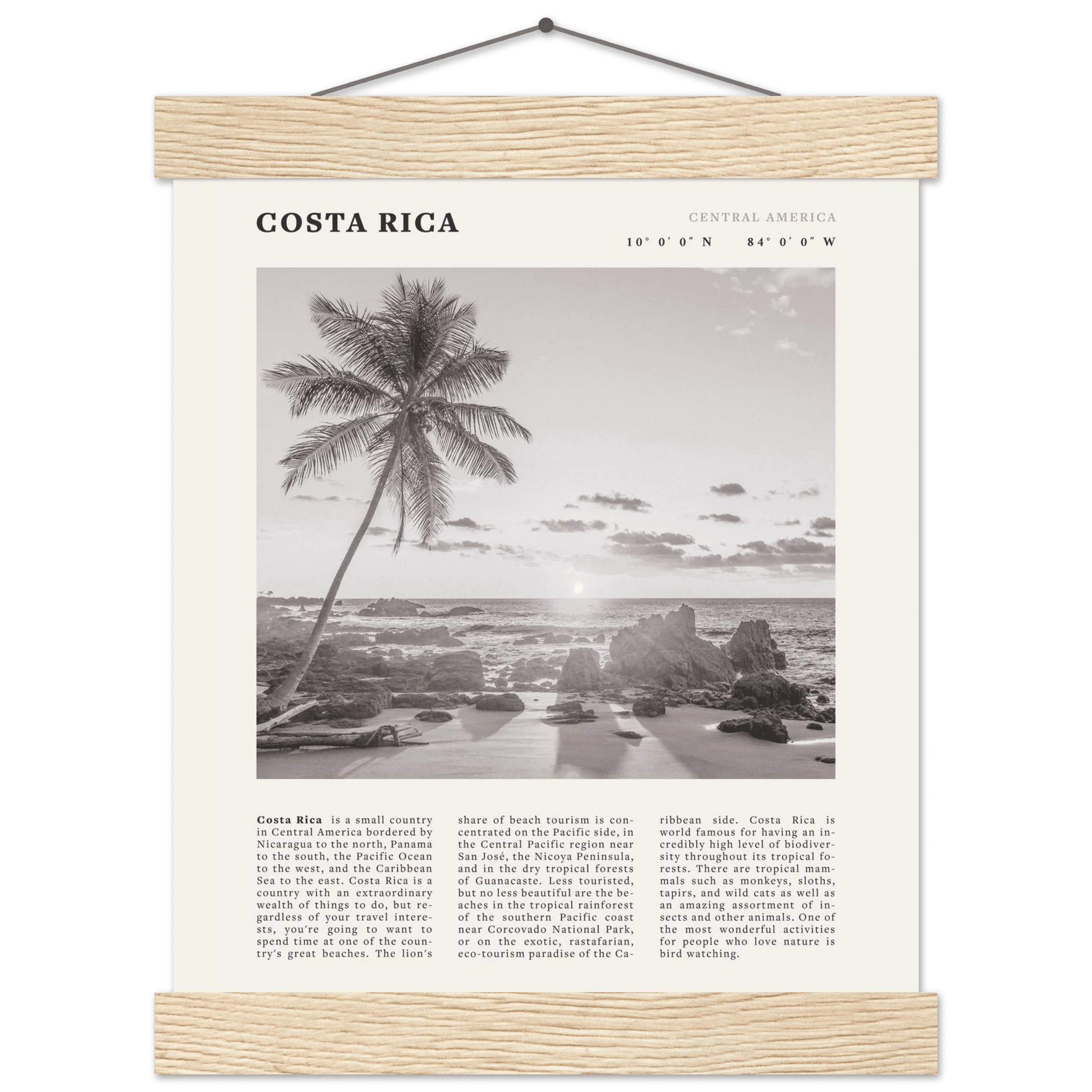 Costa Rica Poster | Black & White Palm Tree Beach Wall Art | Travel Print Decor - Evergreen Posters