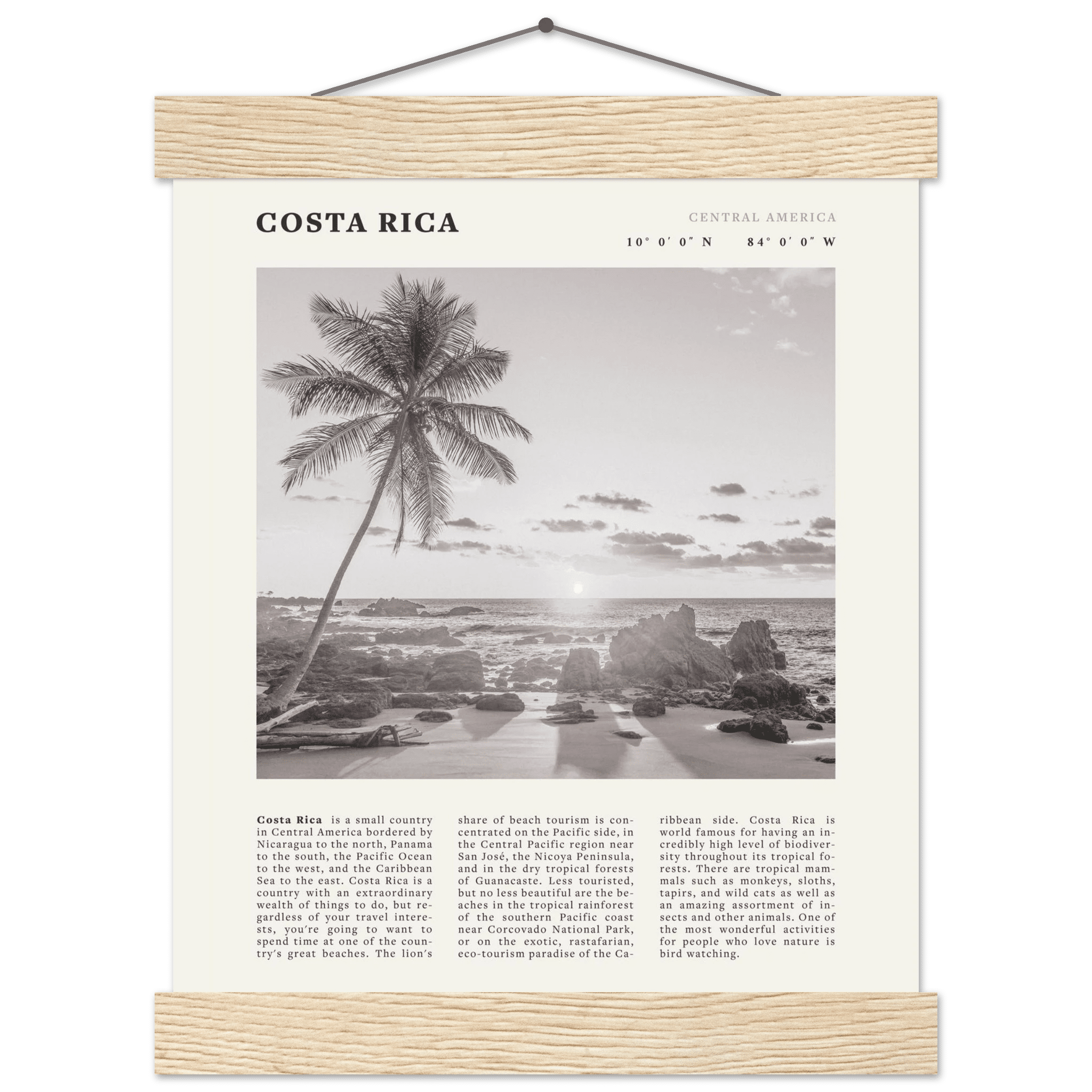 Costa Rica Poster | Black & White Palm Tree Beach Wall Art | Travel Print Decor - Evergreen Posters
