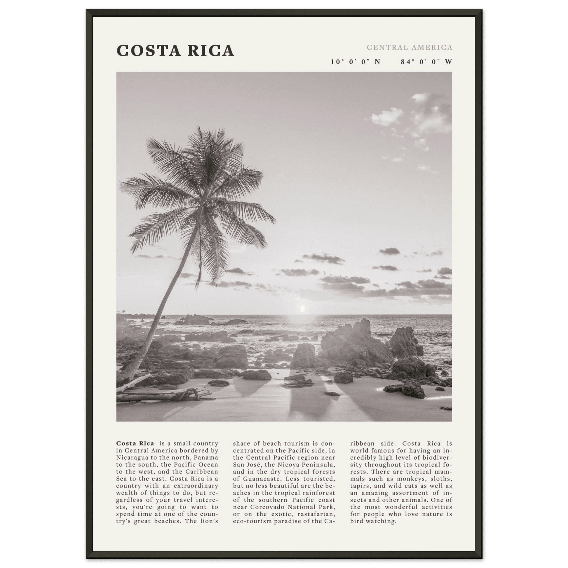 Costa Rica Poster | Black & White Palm Tree Beach Wall Art | Travel Print Decor - Evergreen Posters
