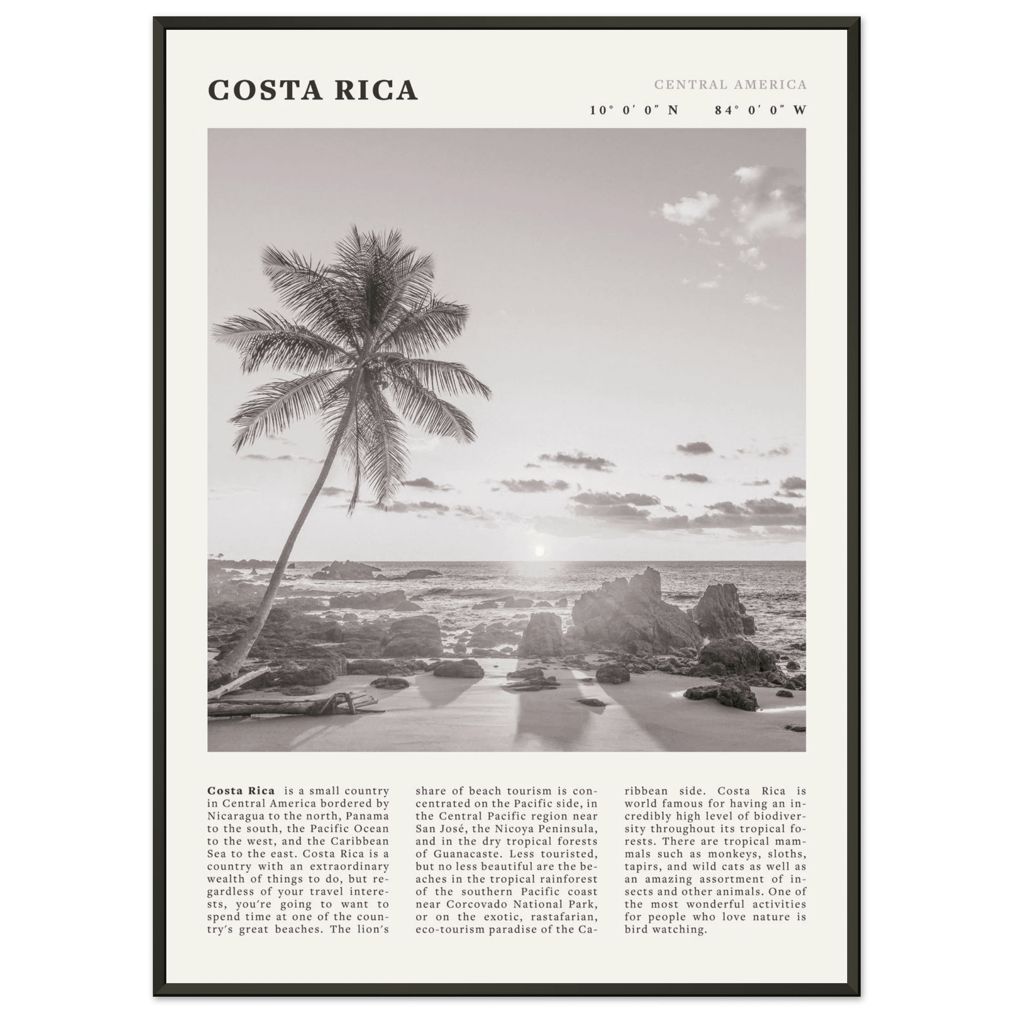 Costa Rica Poster | Black & White Palm Tree Beach Wall Art | Travel Print Decor - Evergreen Posters