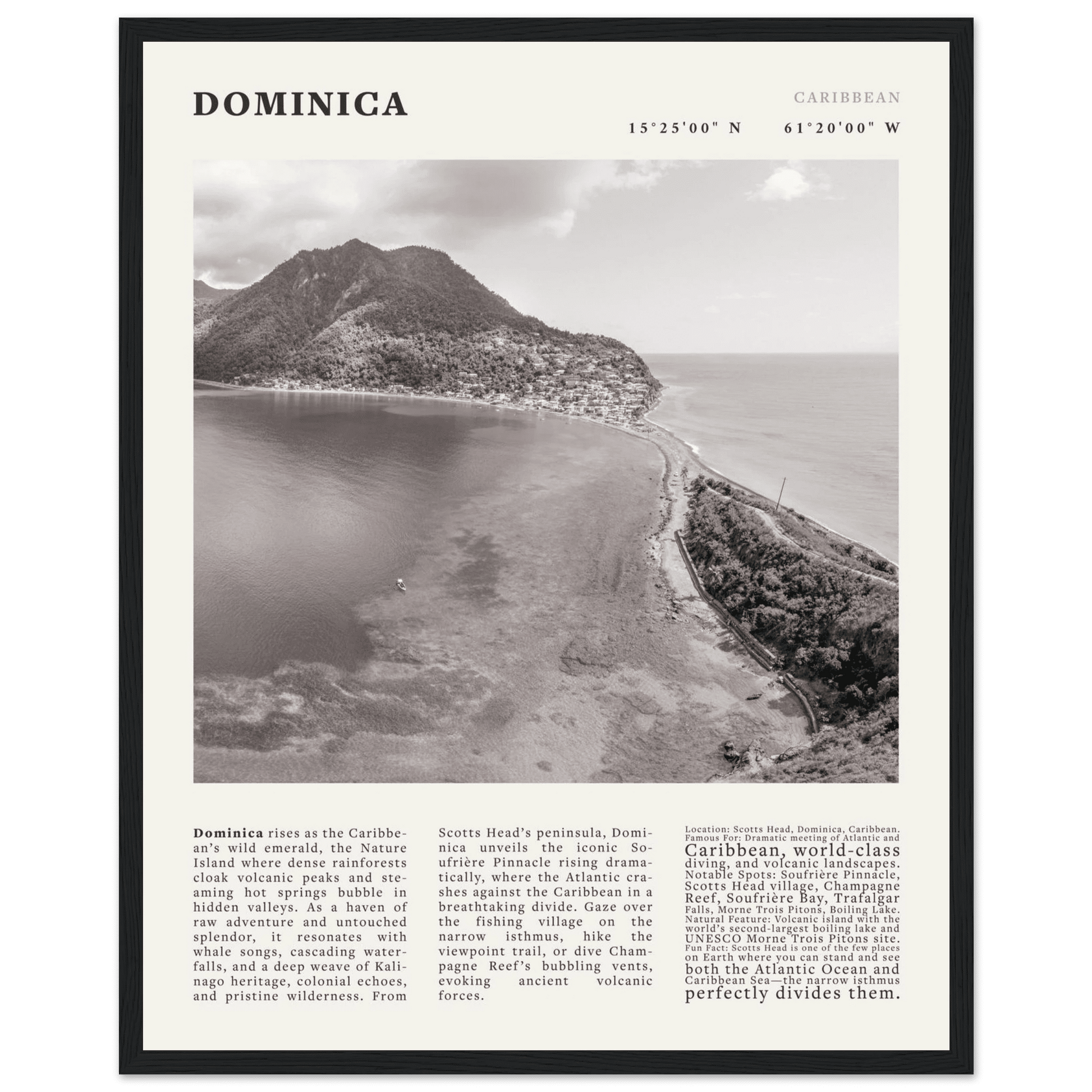 Dominica Poster Black and White – Vintage Caribbean Rainforest Island Print (Digital & Printed Options) - Evergreen Posters