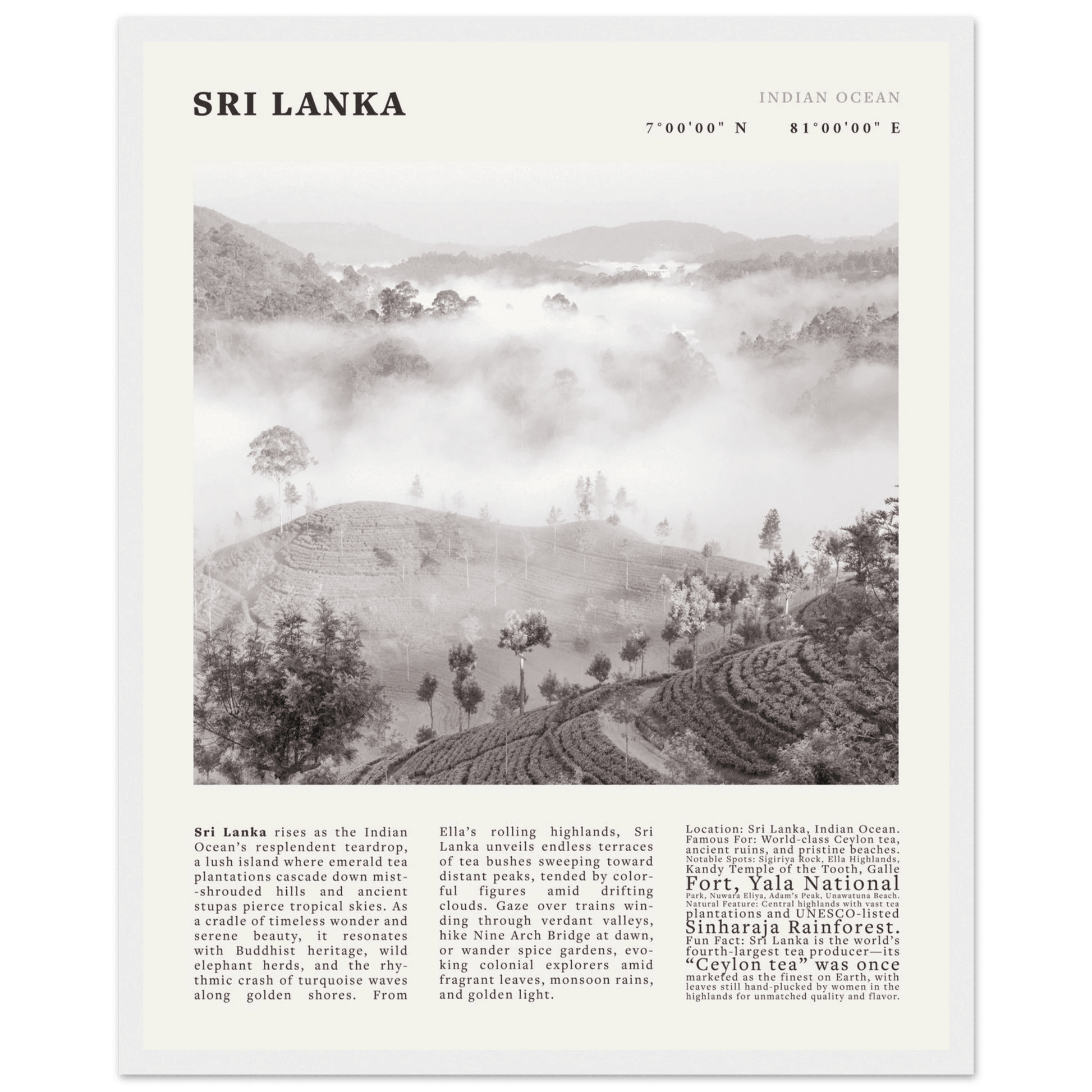 Sri Lanka Poster Black and White – Vintage Ceylon Tea Plantation Print (Digital & Printed Options) - Evergreen Posters
