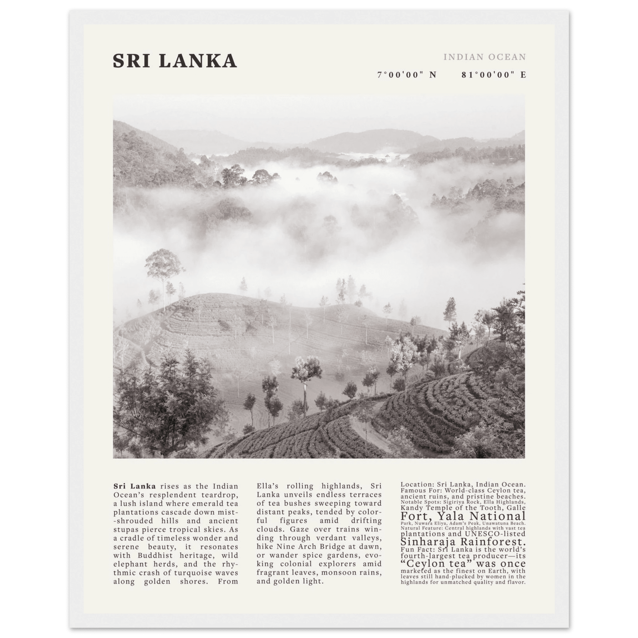 Sri Lanka Poster Black and White – Vintage Ceylon Tea Plantation Print (Digital & Printed Options) - Evergreen Posters