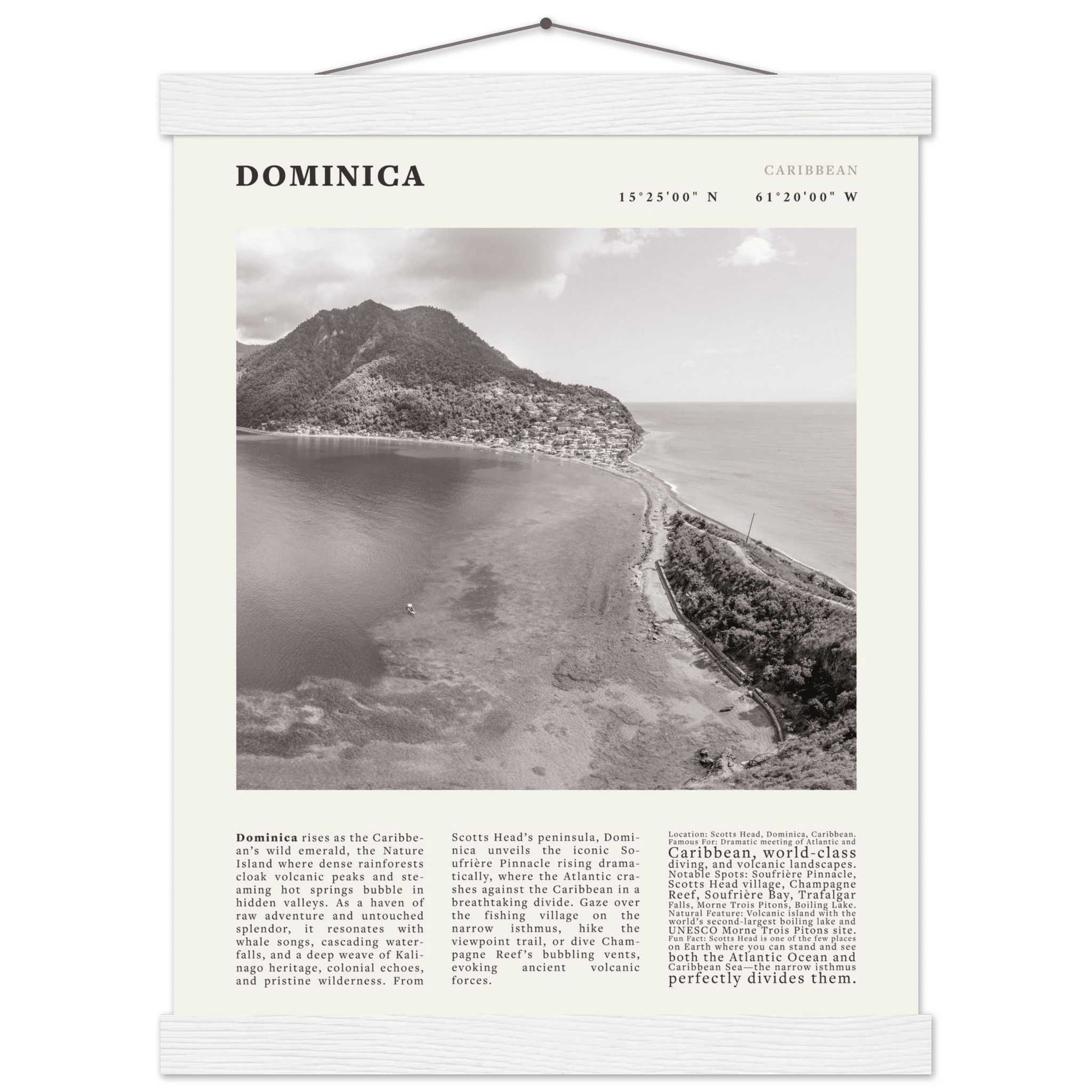 Dominica Poster Black and White – Vintage Caribbean Rainforest Island Print (Digital & Printed Options) - Evergreen Posters