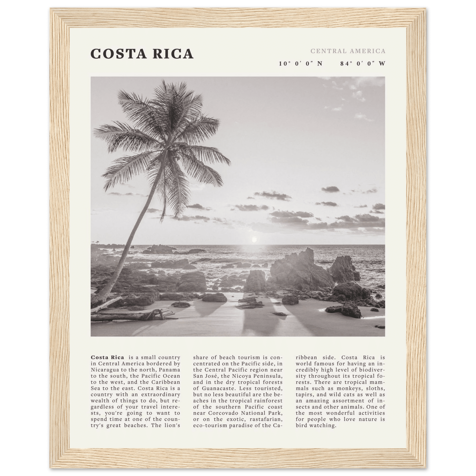 Costa Rica Poster | Black & White Palm Tree Beach Wall Art | Travel Print Decor - Evergreen Posters