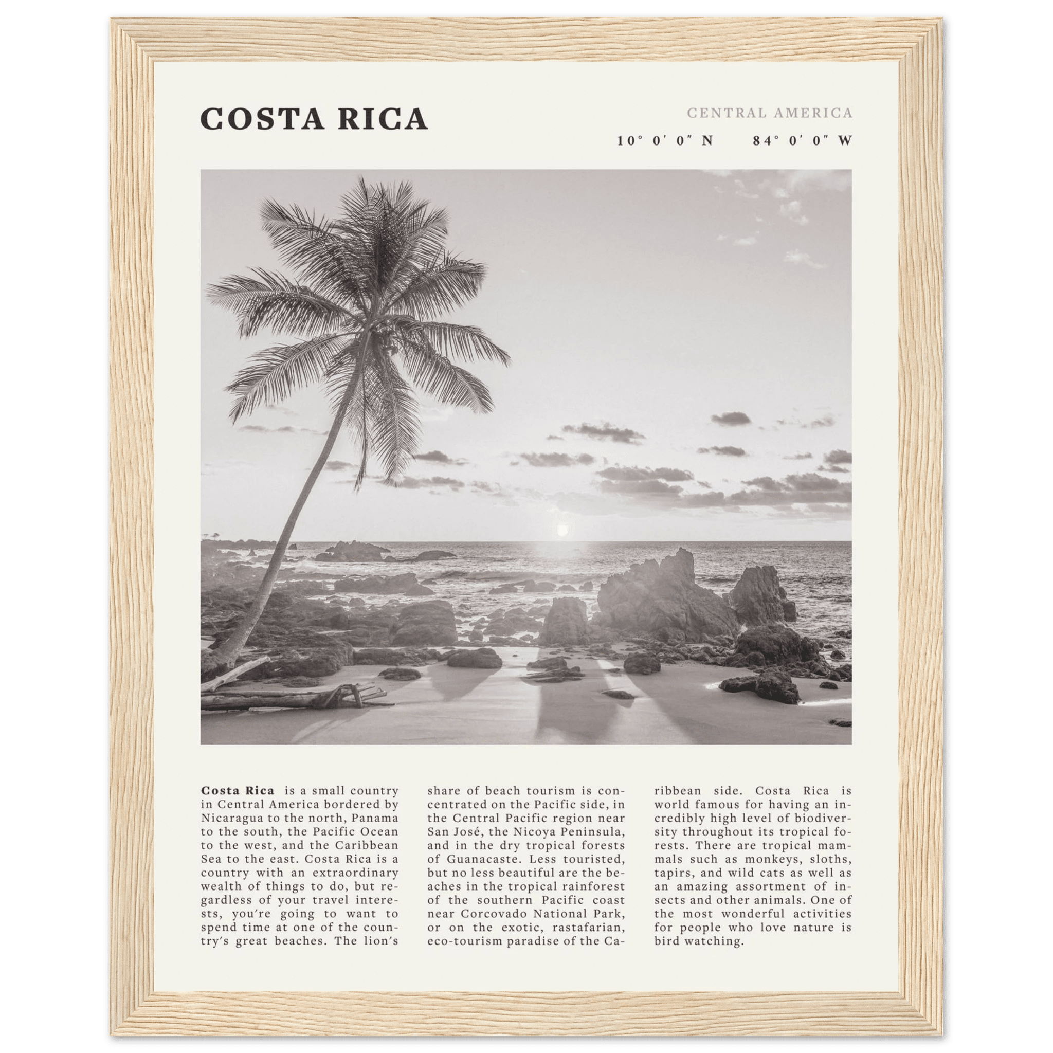 Costa Rica Poster | Black & White Palm Tree Beach Wall Art | Travel Print Decor - Evergreen Posters