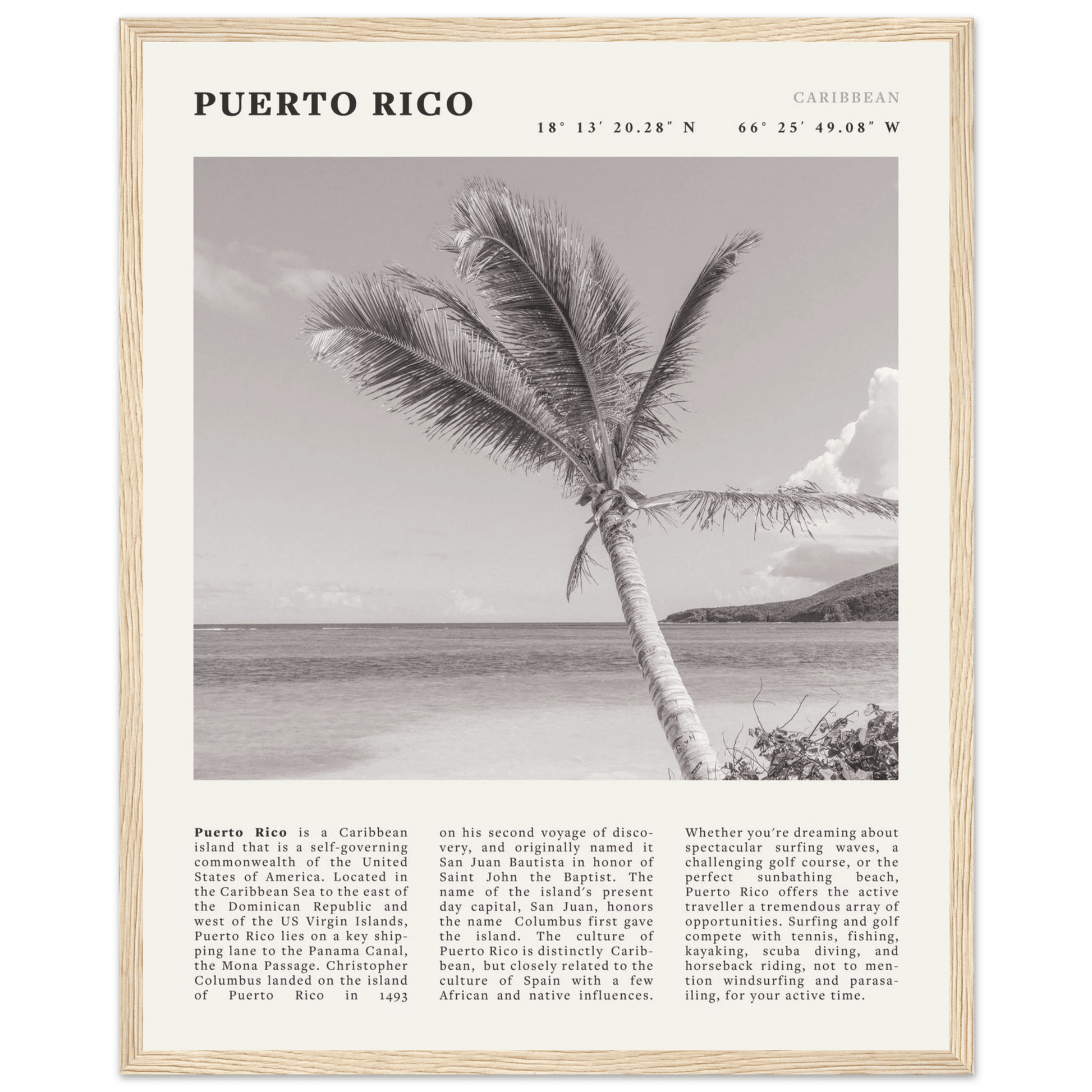 Puerto Rico Poster Black and White – Vintage Caribbean Palm Beach Print (Digital & Printed Options) - Evergreen Posters