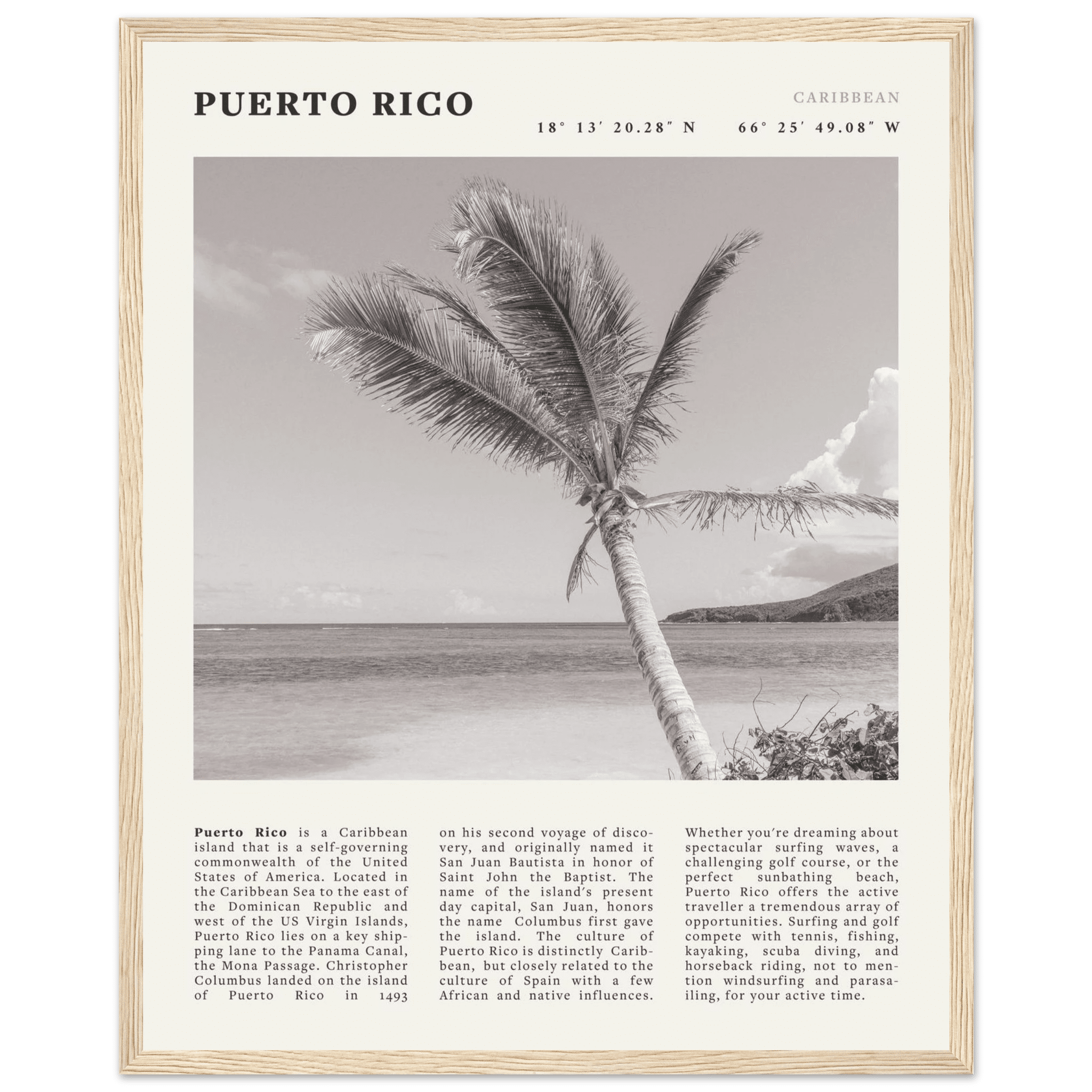 Puerto Rico Poster Black and White – Vintage Caribbean Palm Beach Print (Digital & Printed Options) - Evergreen Posters