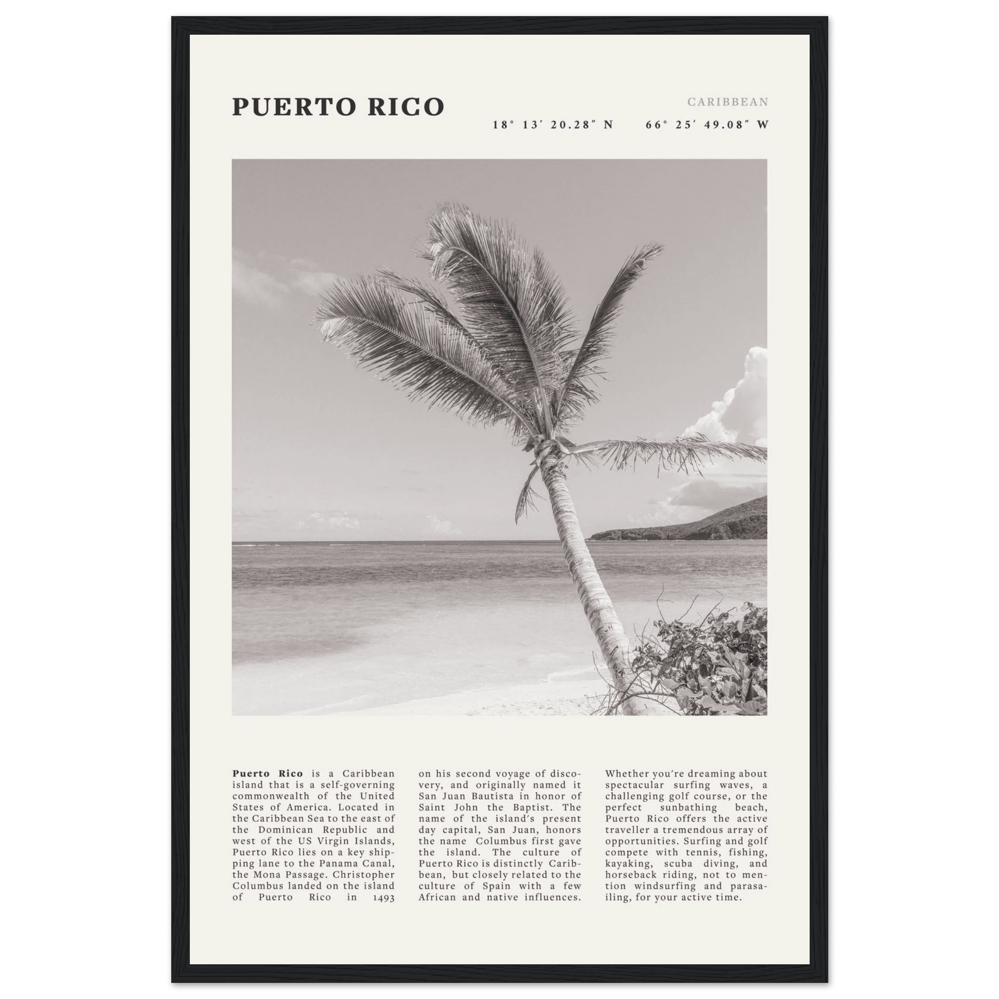 Puerto Rico Poster Black and White – Vintage Caribbean Palm Beach Print (Digital & Printed Options) - Evergreen Posters