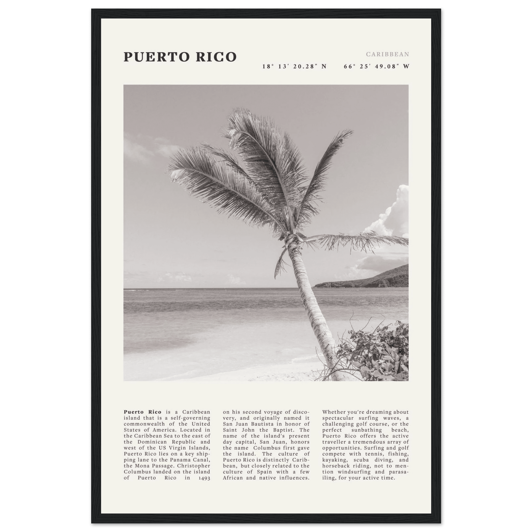 Puerto Rico Poster Black and White – Vintage Caribbean Palm Beach Print (Digital & Printed Options) - Evergreen Posters