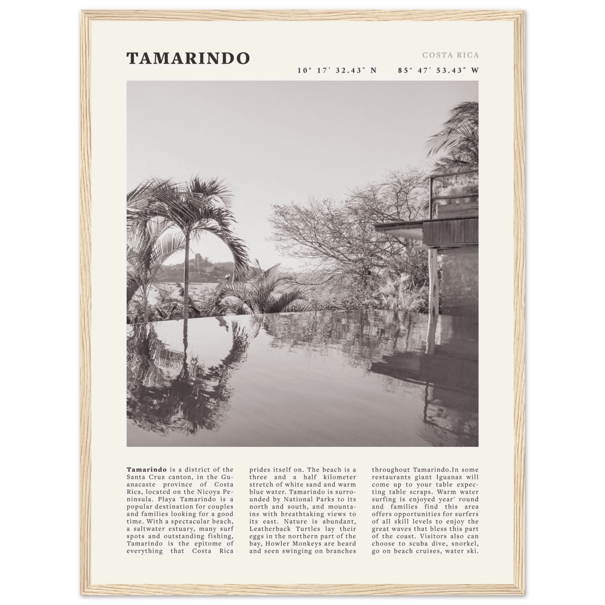 Tamarindo Poster | Black & White Costa Rica Beach Wall Art | Surf Travel Print - Evergreen Posters