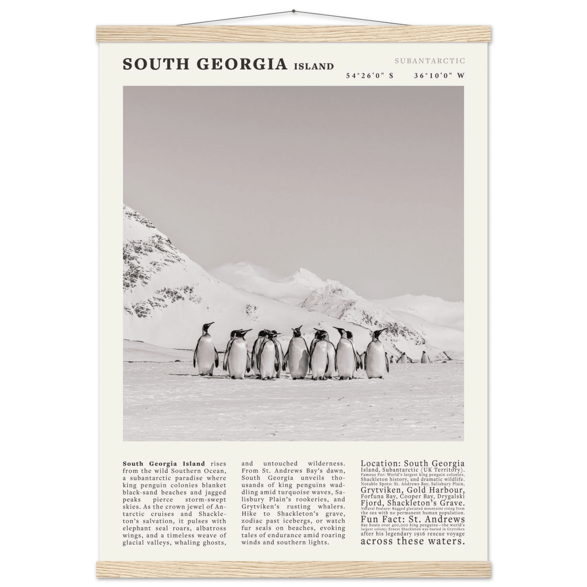 South Georgia Island Black and White Vintage Poster - Evergreen Posters