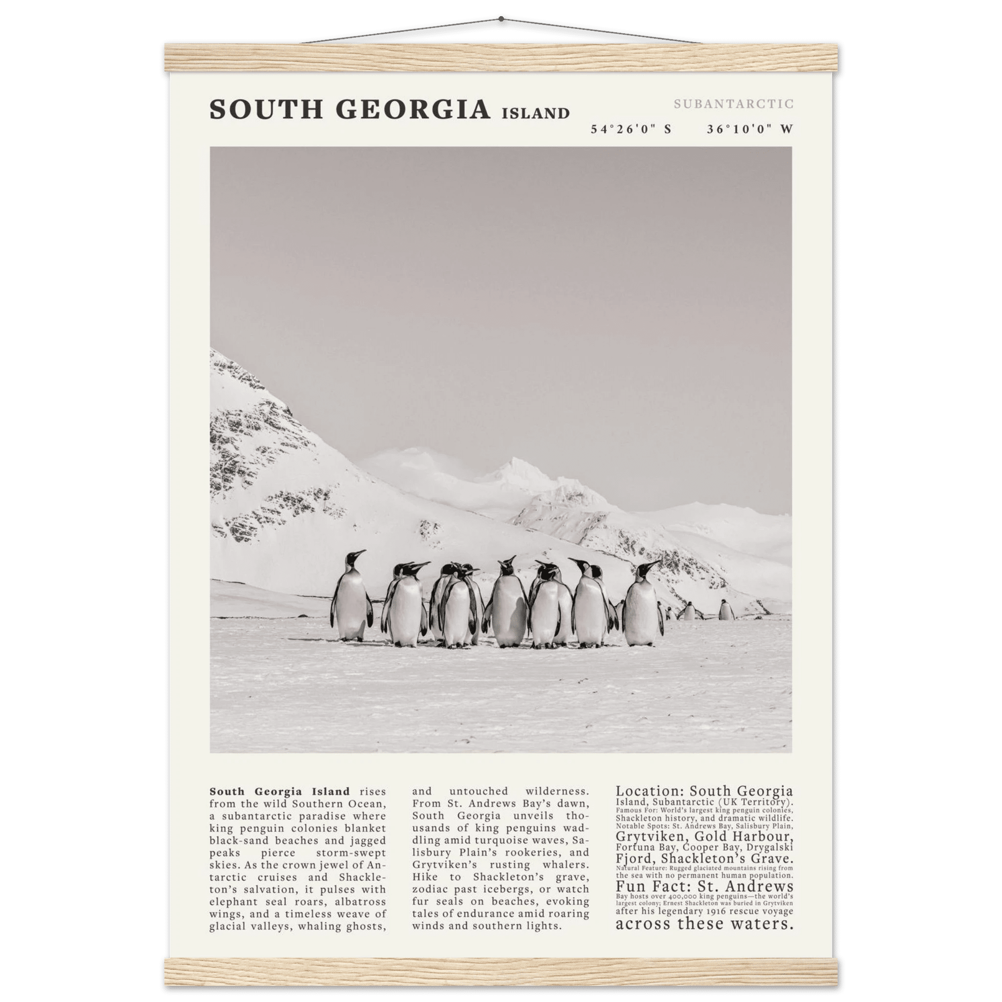 South Georgia Island Black and White Vintage Poster - Evergreen Posters
