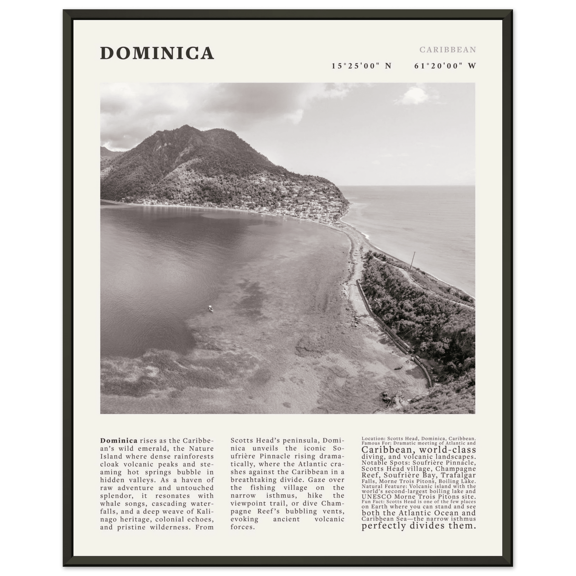 Dominica Poster Black and White – Vintage Caribbean Rainforest Island Print (Digital & Printed Options) - Evergreen Posters