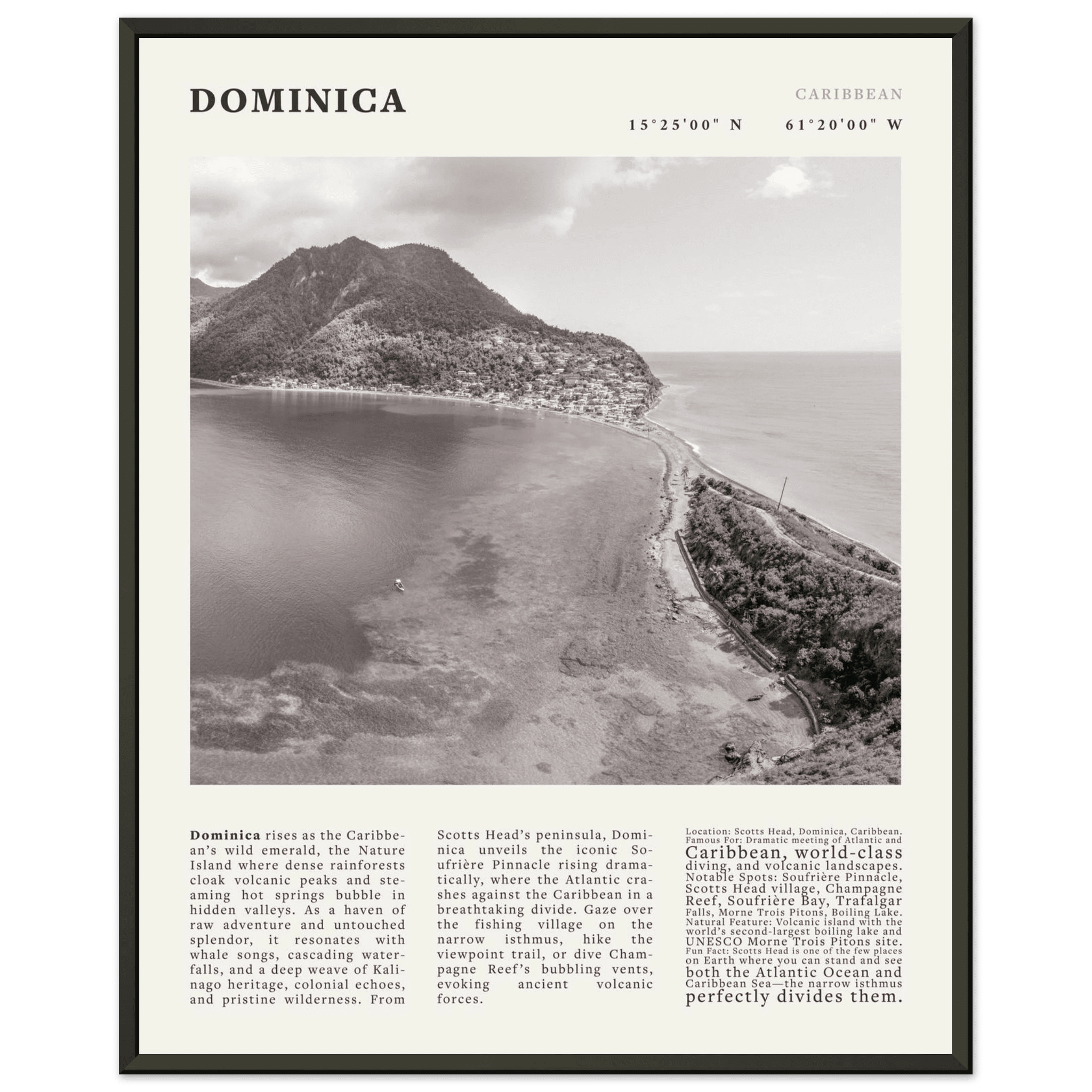 Dominica Poster Black and White – Vintage Caribbean Rainforest Island Print (Digital & Printed Options) - Evergreen Posters
