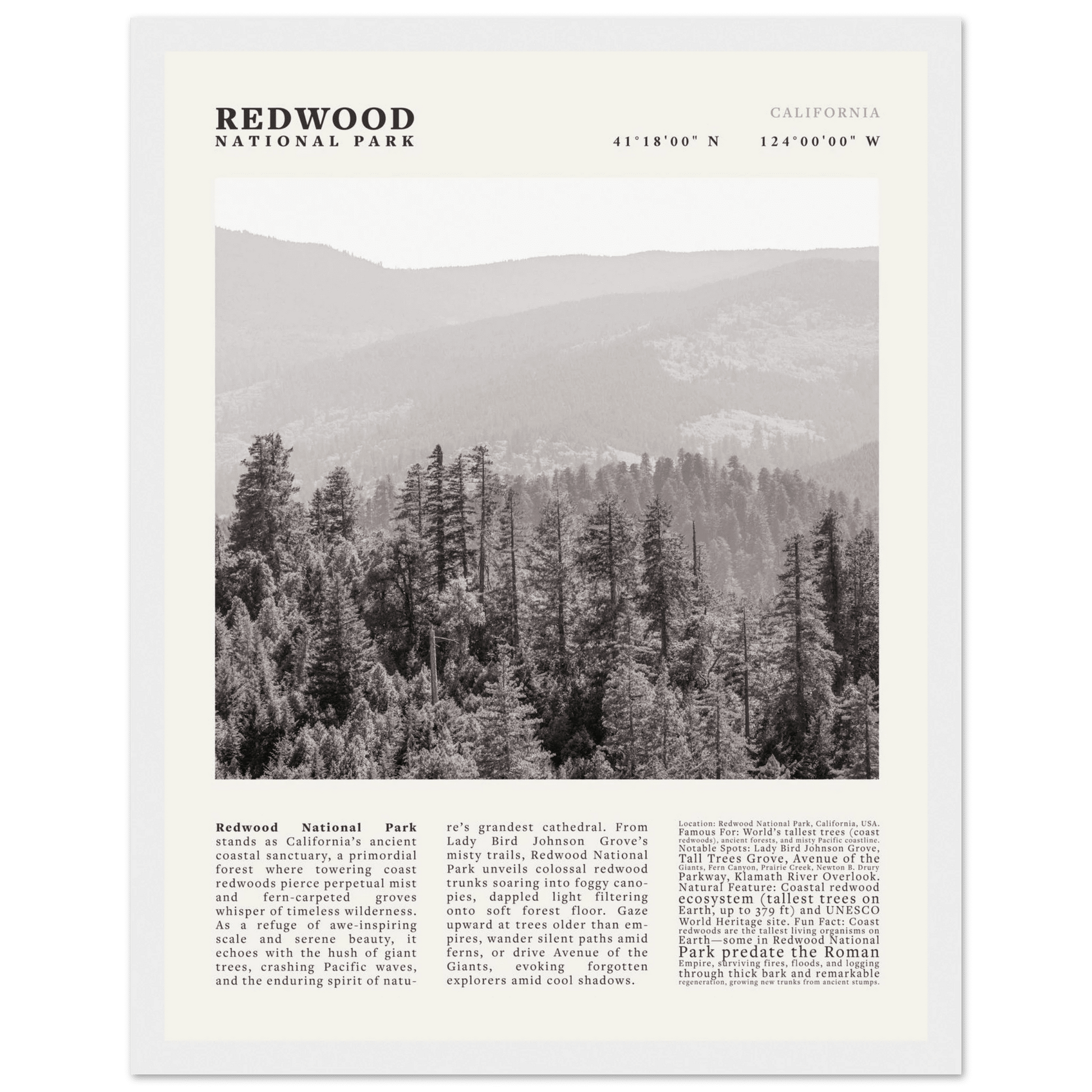 Redwood National Park Poster Black and White – Vintage Foggy Redwood Forest Print - Evergreen Posters