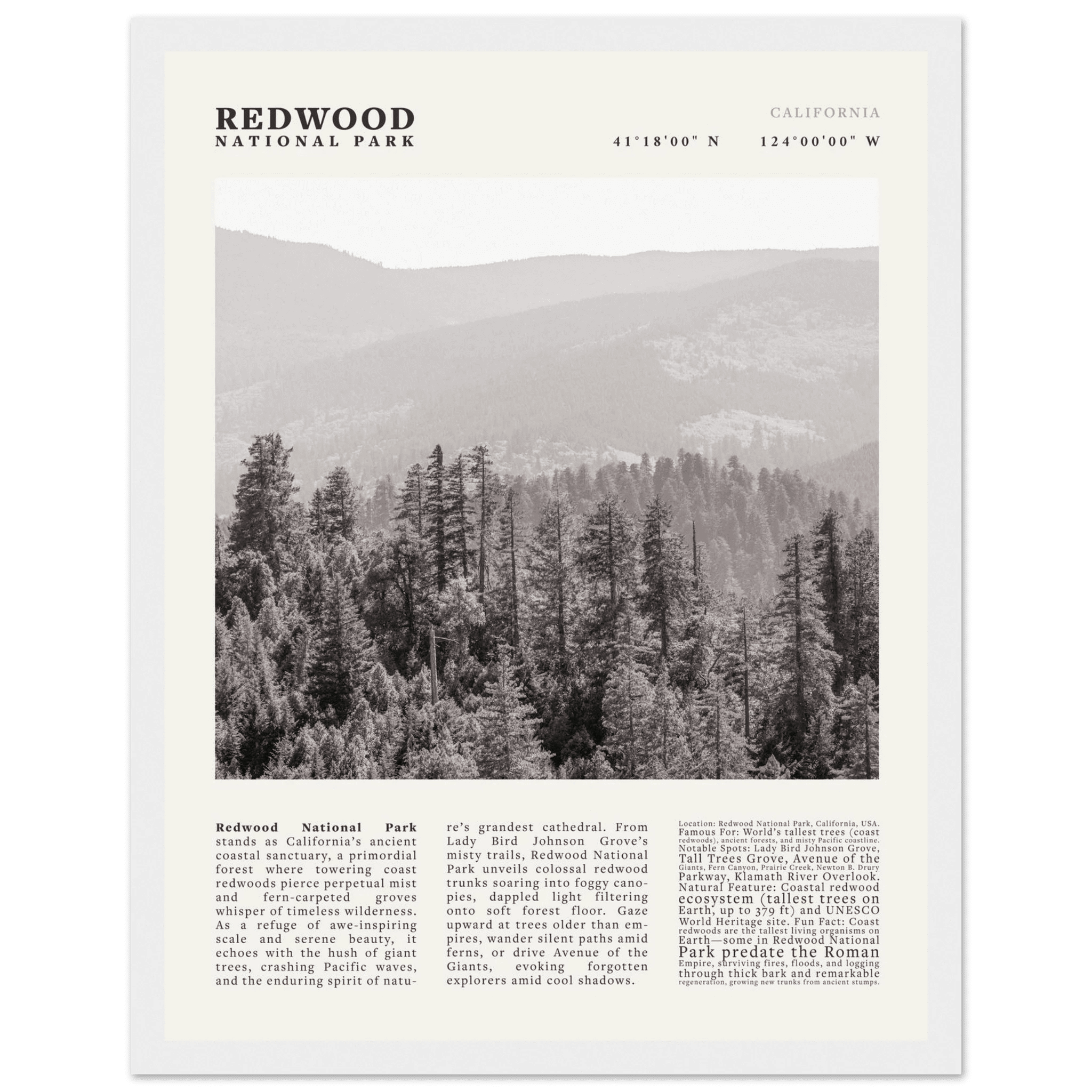 Redwood National Park Poster Black and White – Vintage Foggy Redwood Forest Print - Evergreen Posters