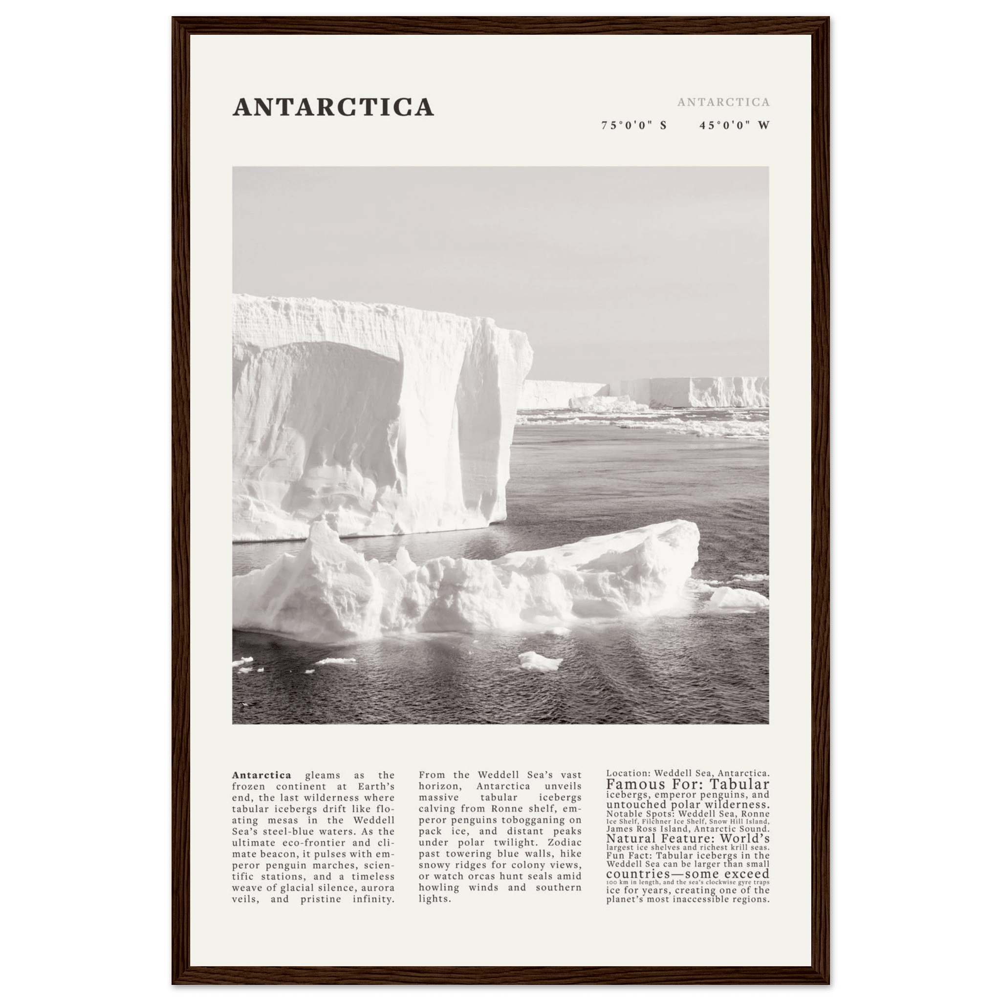 Antarctica Poster Black and White – Vintage Weddell Sea Iceberg Print (Digital & Printed Options) - Evergreen Posters
