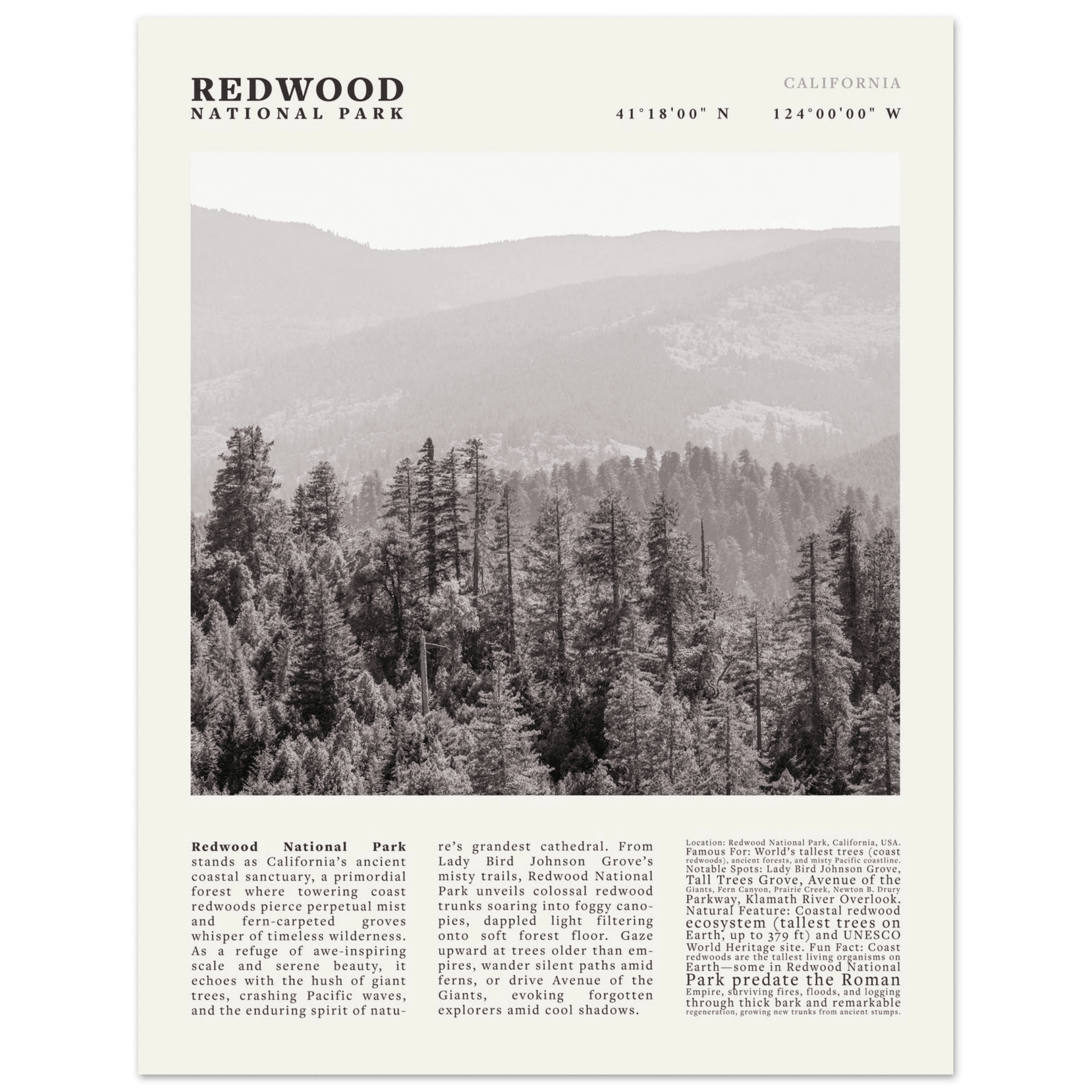 Redwood National Park Poster Black and White – Vintage Foggy Redwood Forest Print - Evergreen Posters
